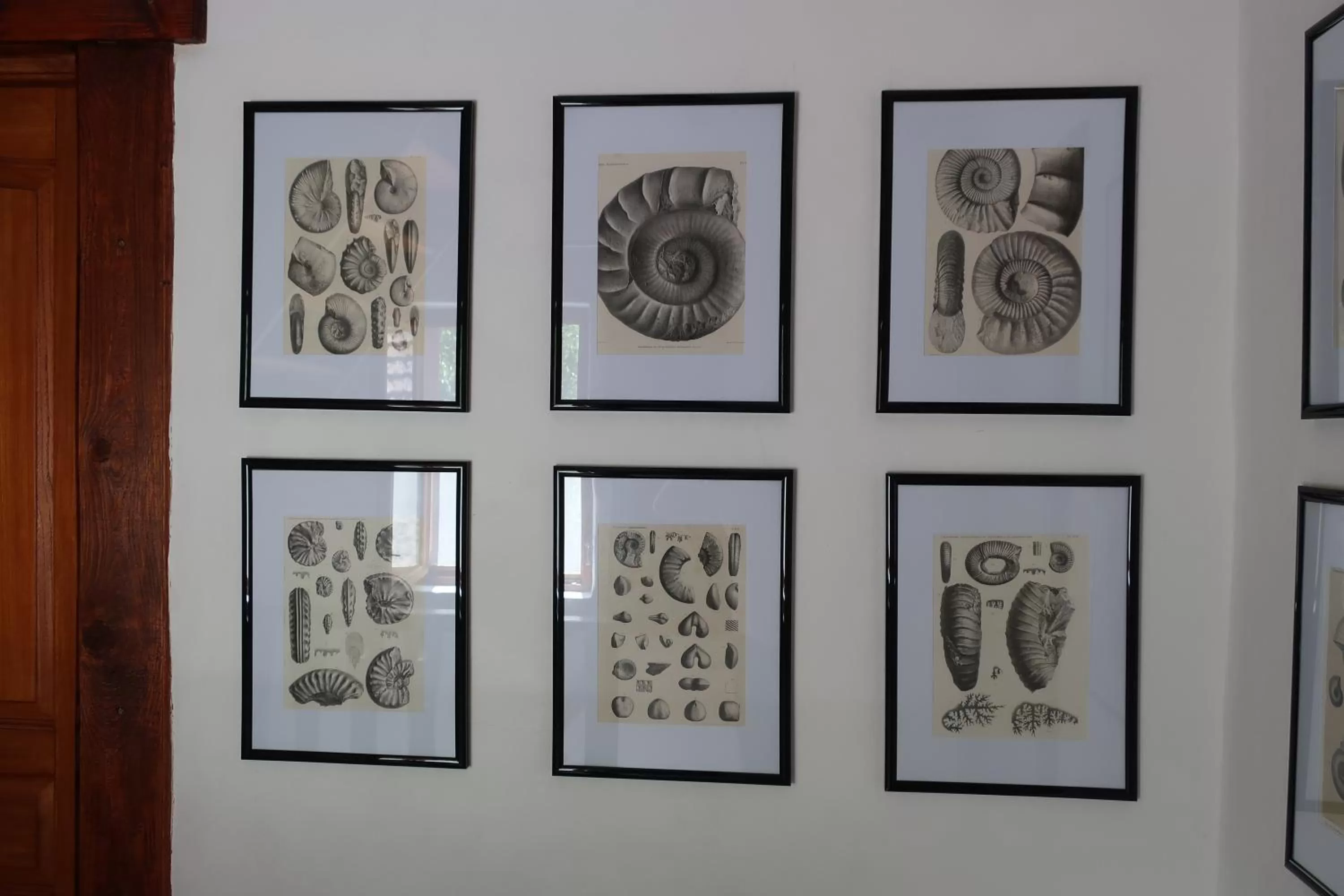 Decorative detail in chambres d'hôtes le Chêne