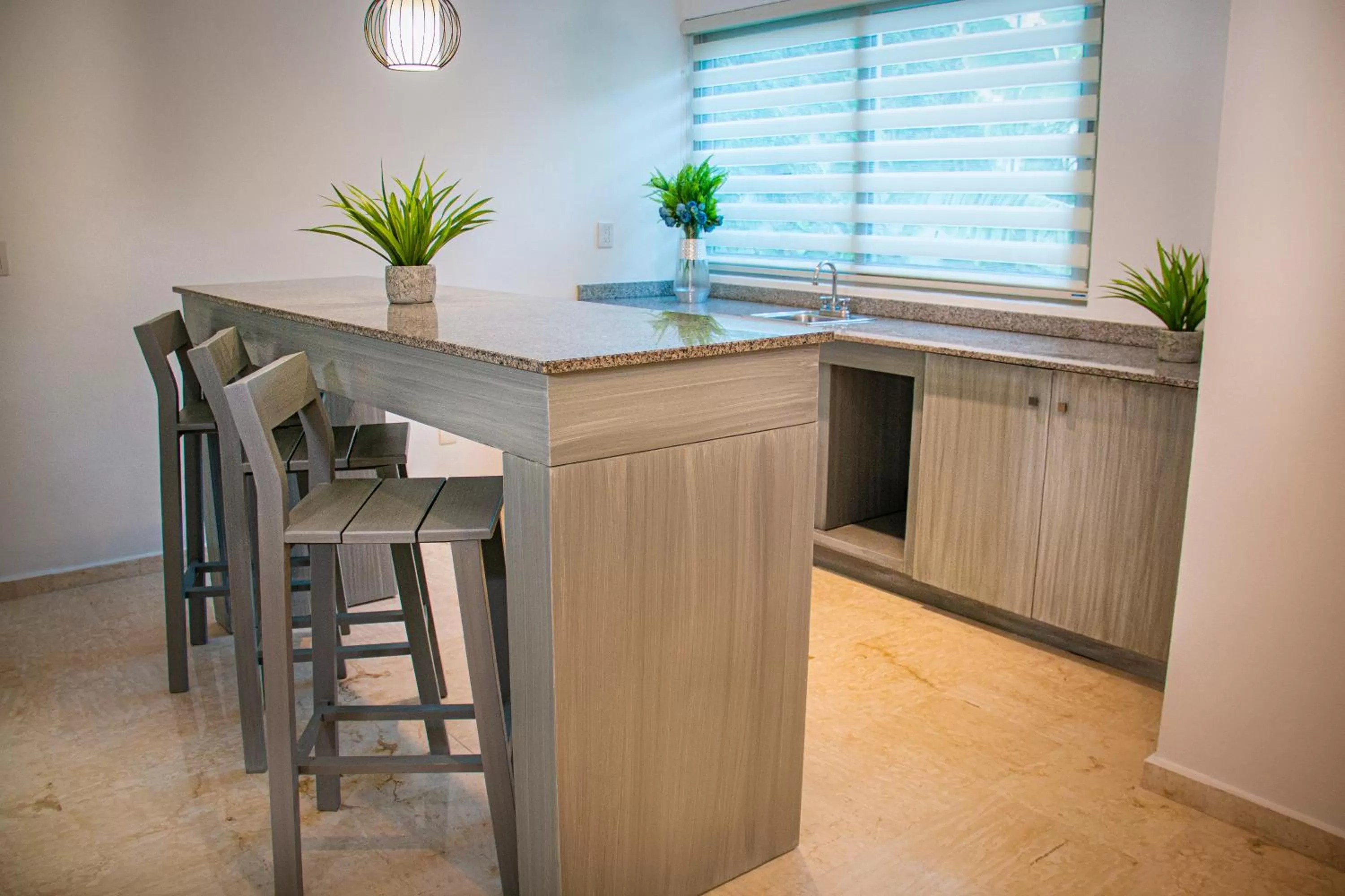 Kitchen or kitchenette in Hotel The Palm