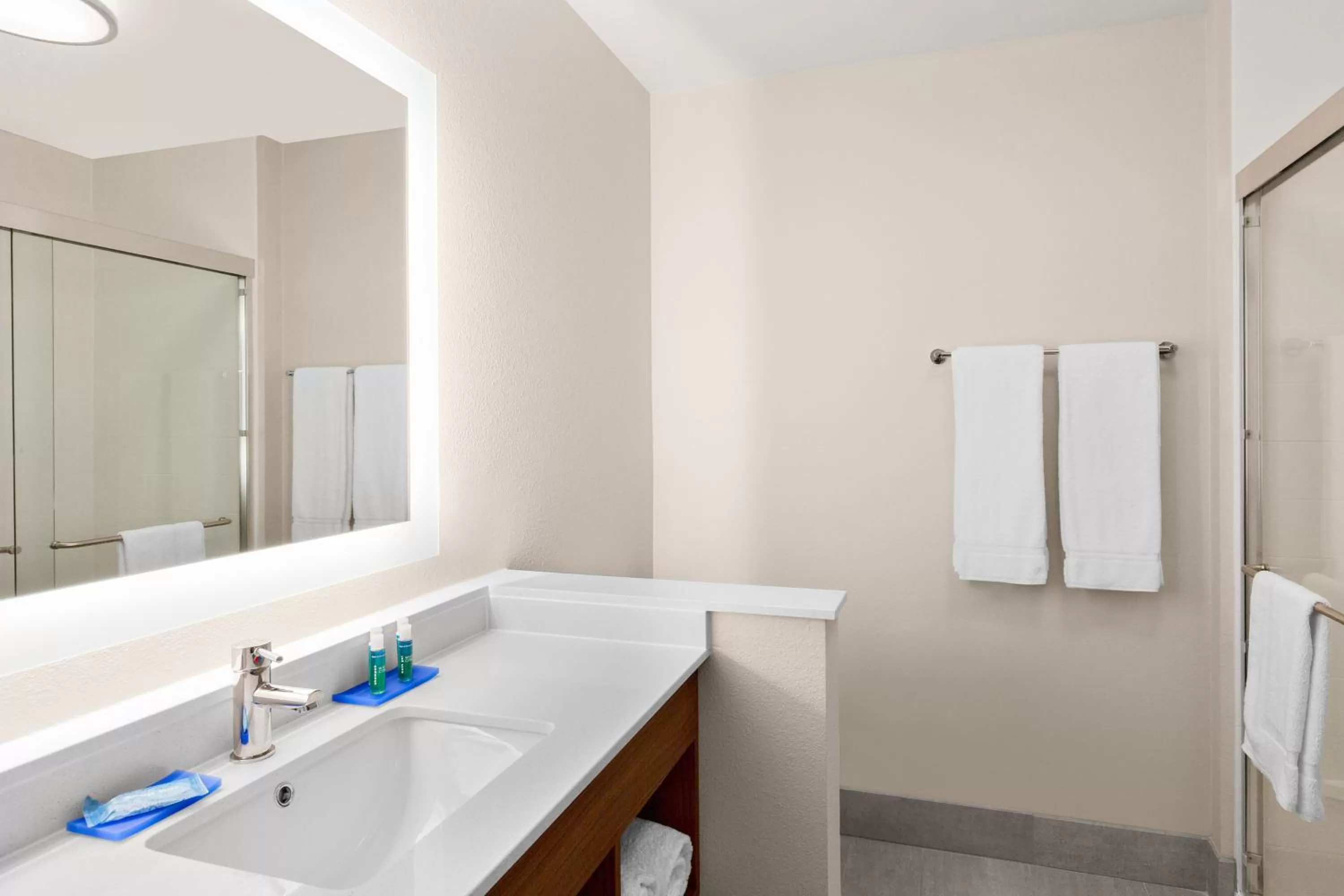 Bathroom in Holiday Inn Express & Suites - Union Gap - Yakima Area by IHG