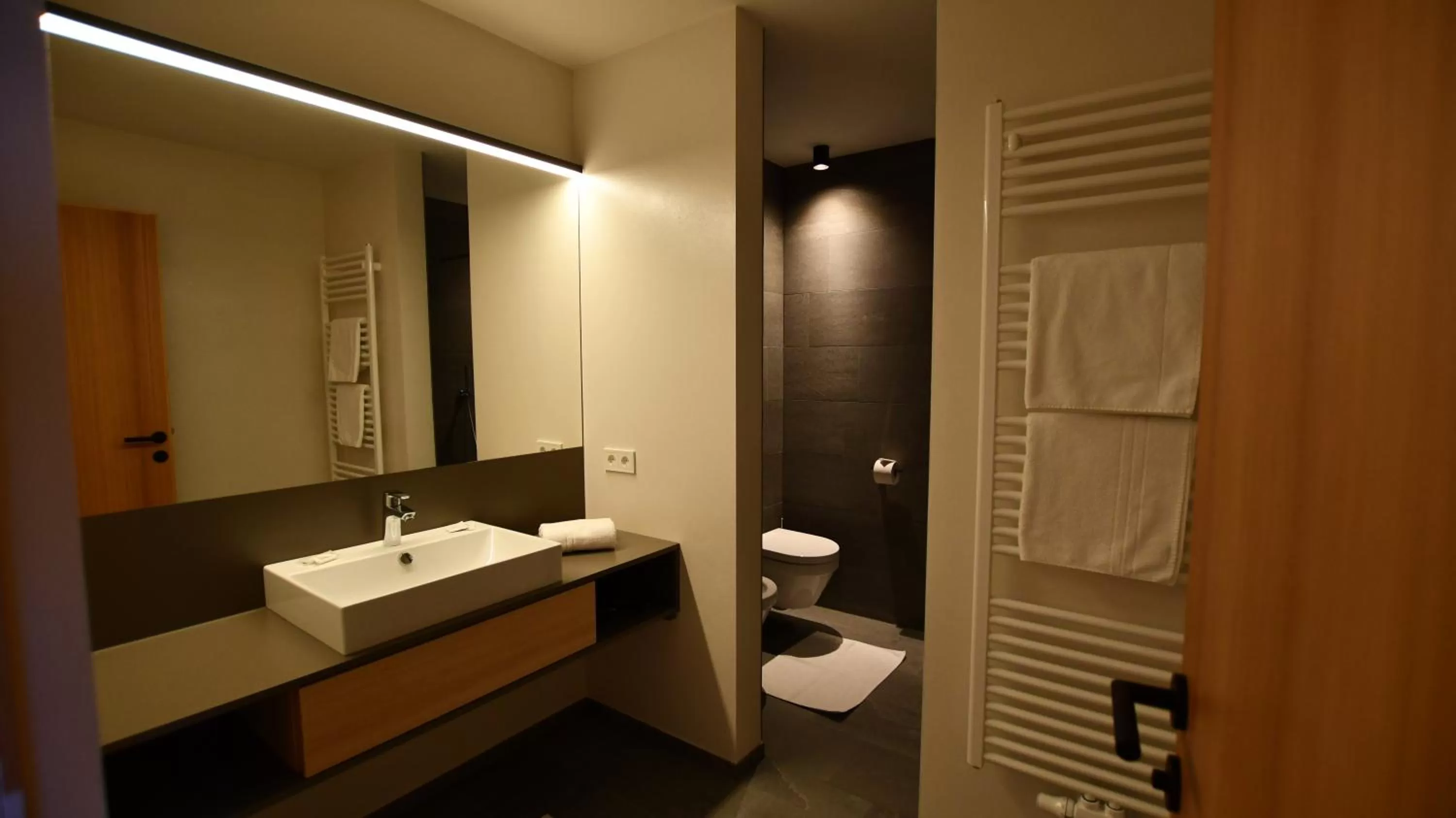 Bathroom in Hotel Tyrol