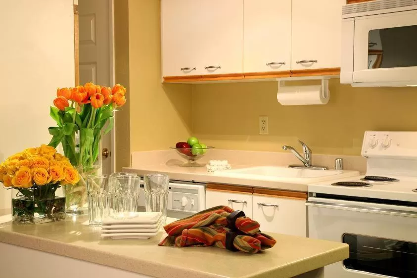 Kitchen or kitchenette in Jockey Club Suites