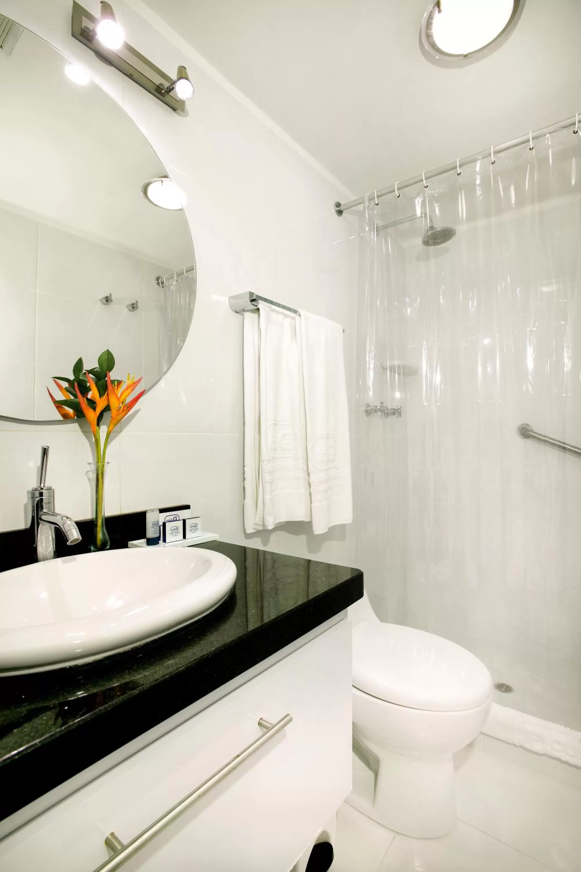 Bathroom in Hotel Dann Combeima