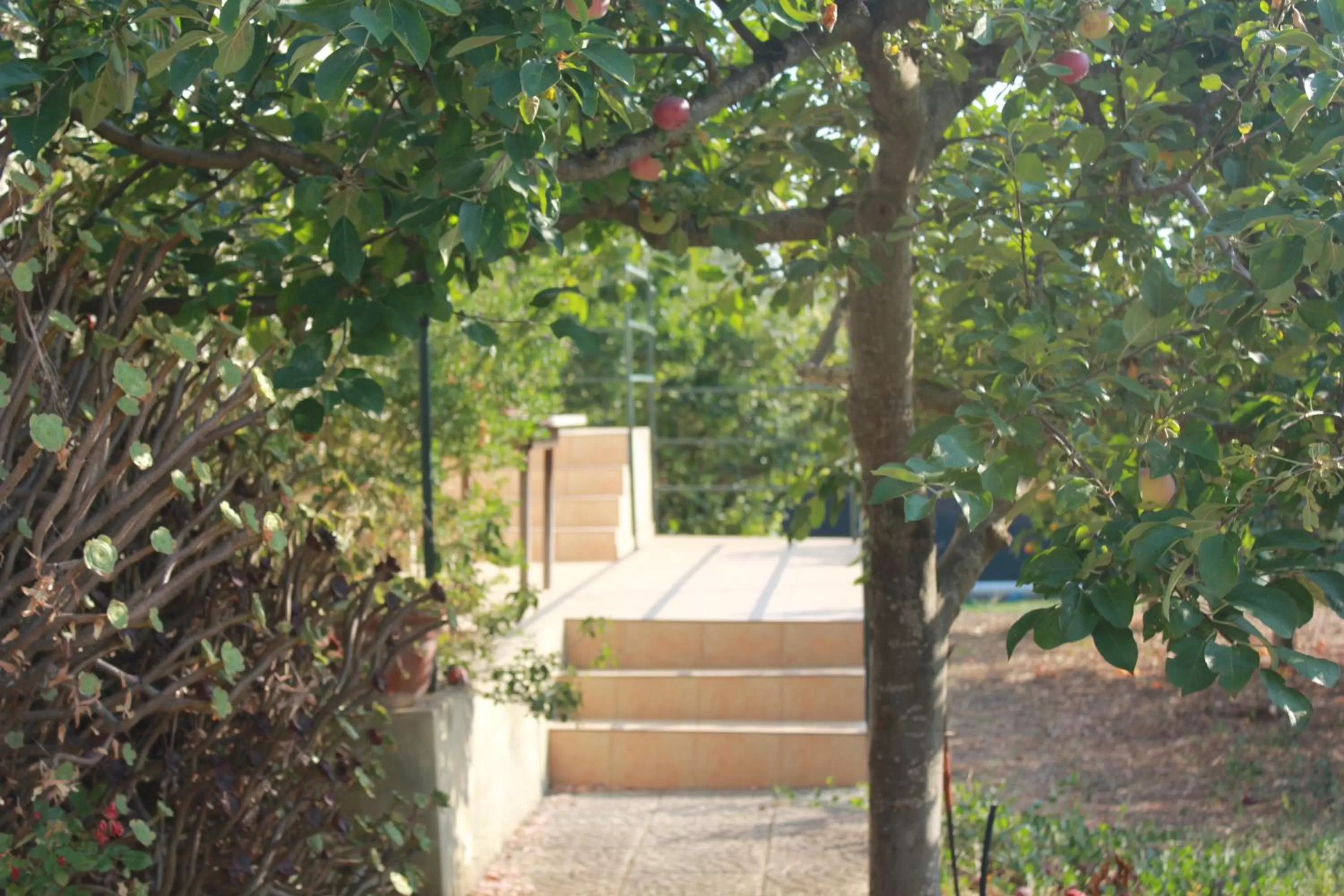 Standard Double Room in Ronnavona Casa Vacanze B&B