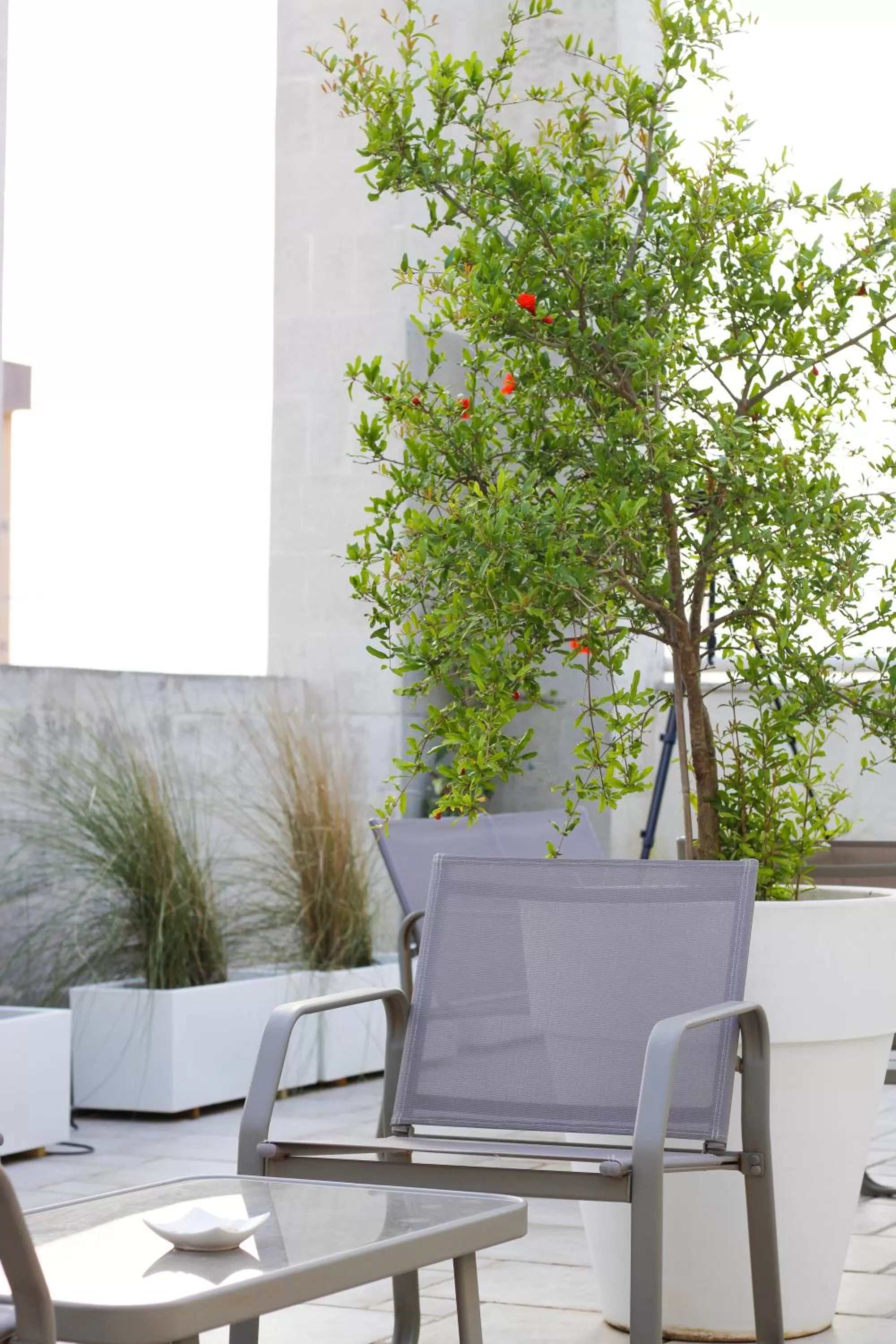 Balcony/Terrace in Eos Hotel
