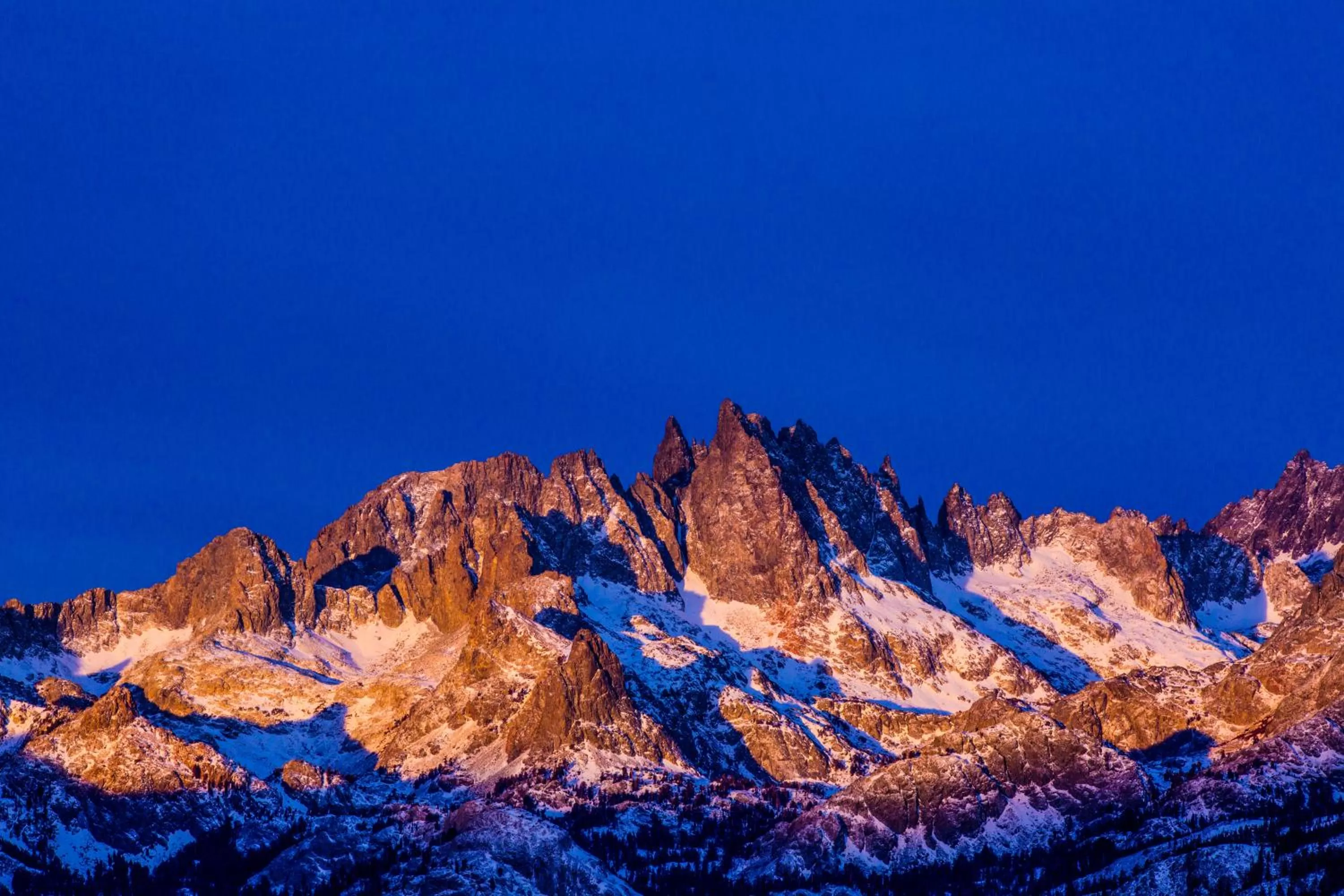 Area and facilities in Juniper Springs Resort
