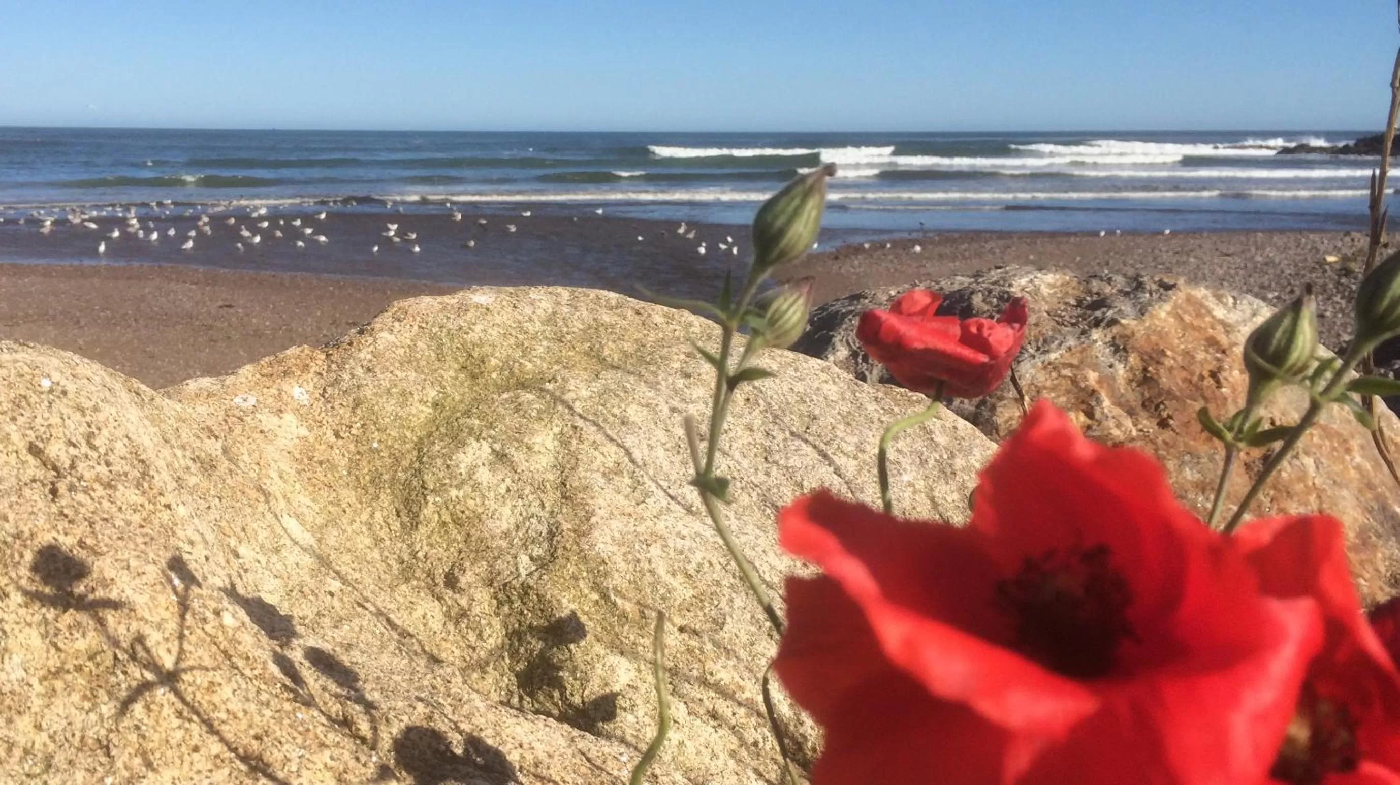 Nearby landmark in Arduthie House