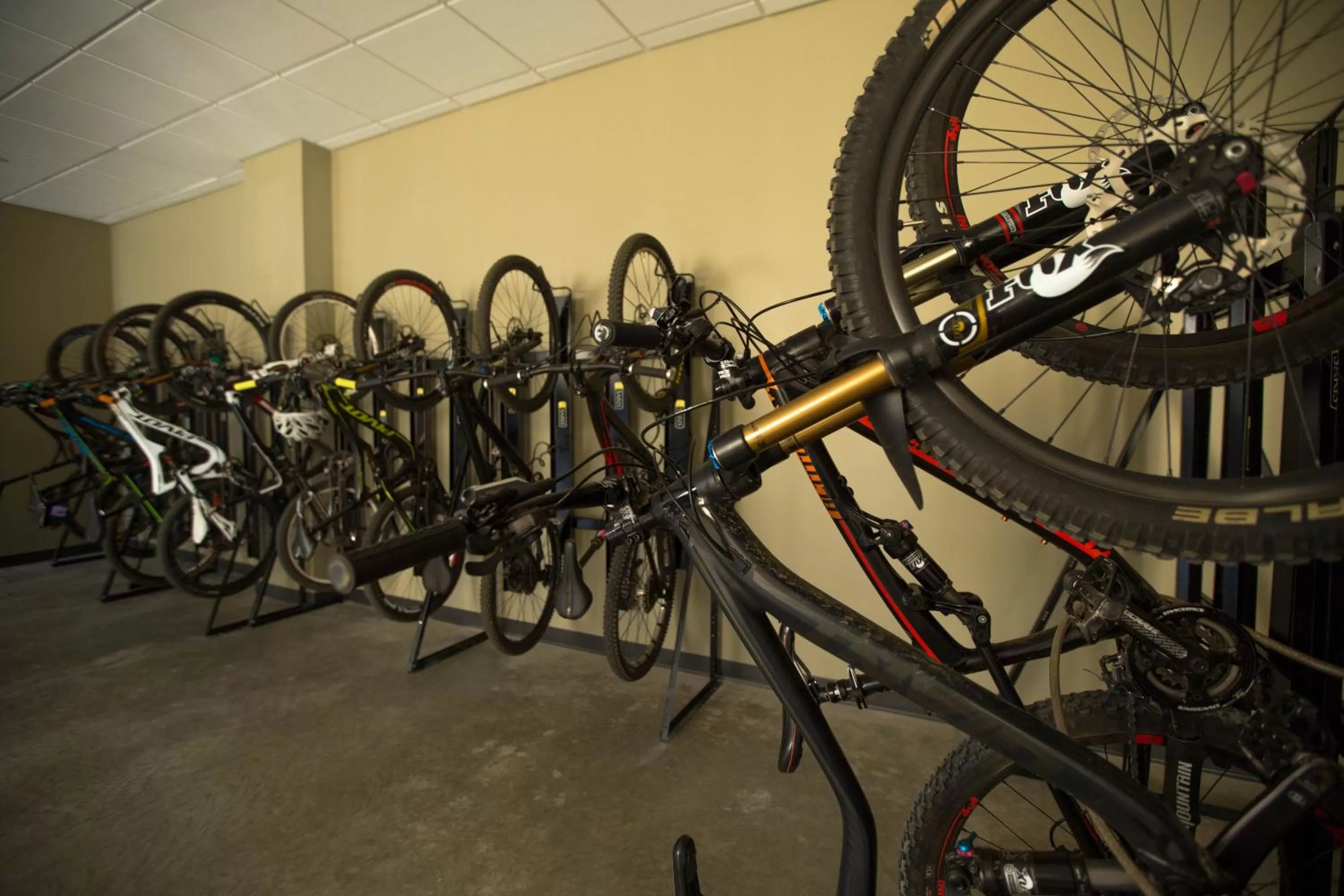 Cycling in Burke Mountain Hotel