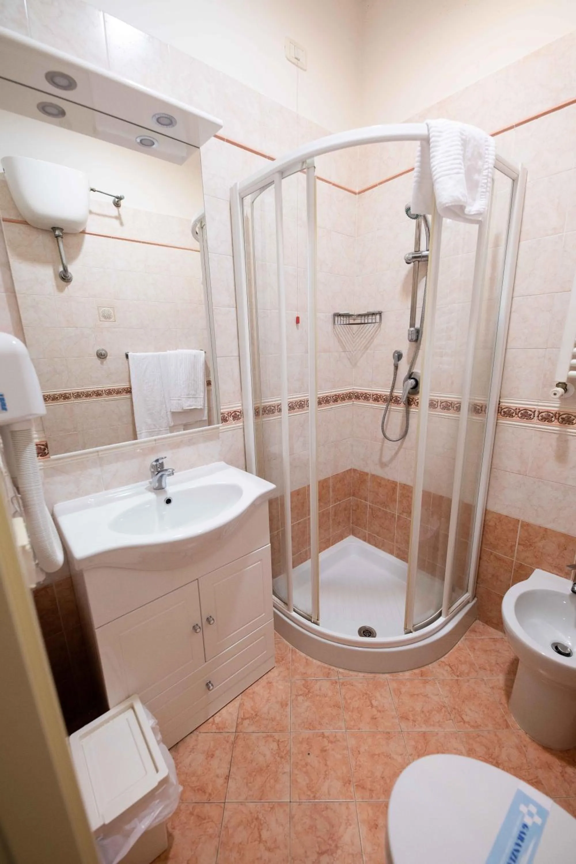 Toilet in Hotel Anfiteatro Flavio