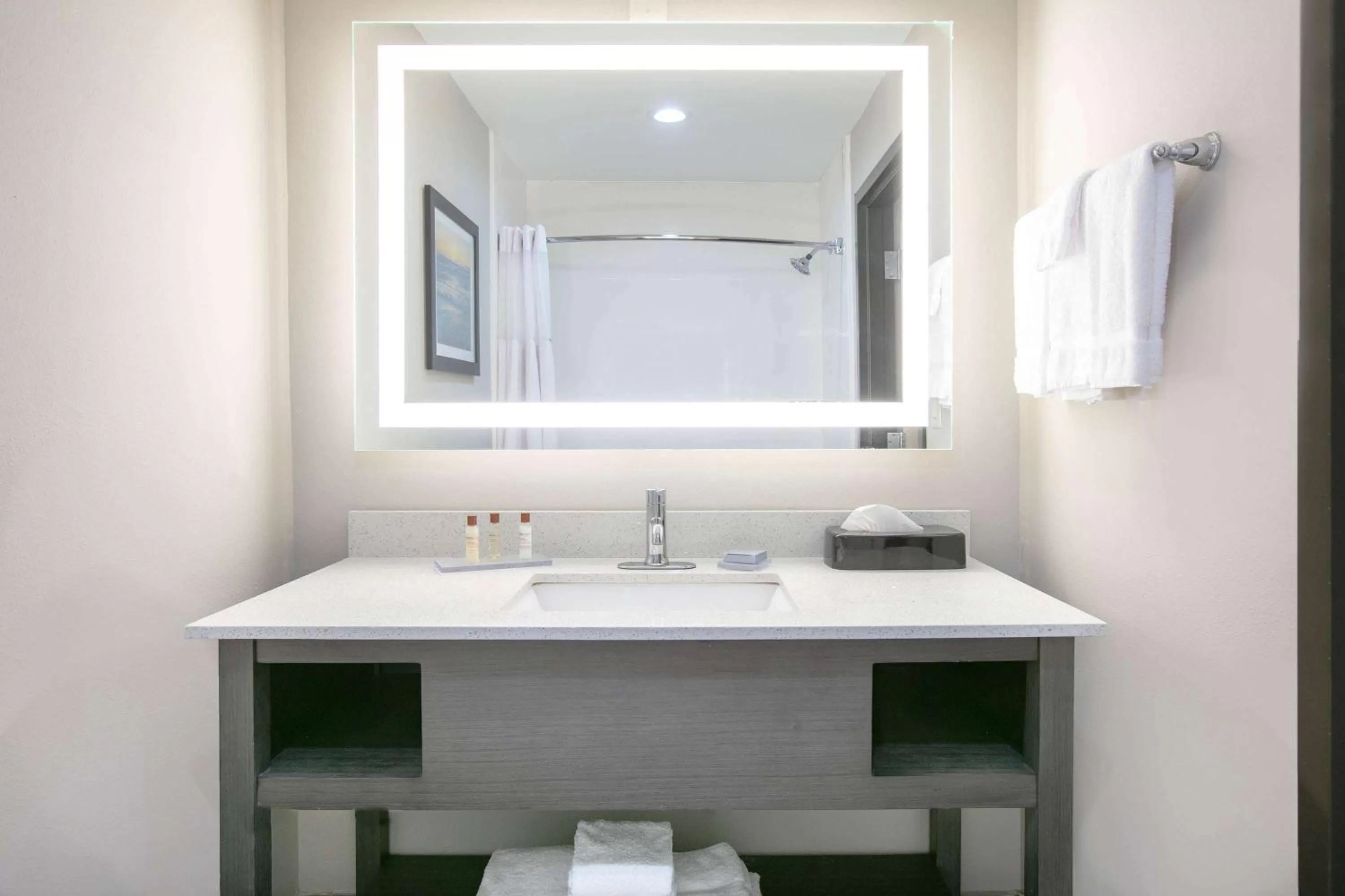 Bathroom in Wingate by Wyndham Corpus Christi