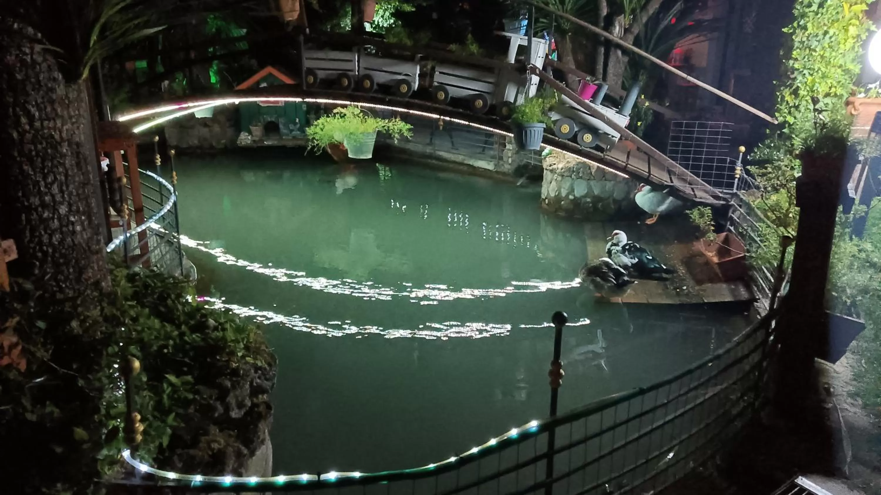 Garden in Il Laghetto