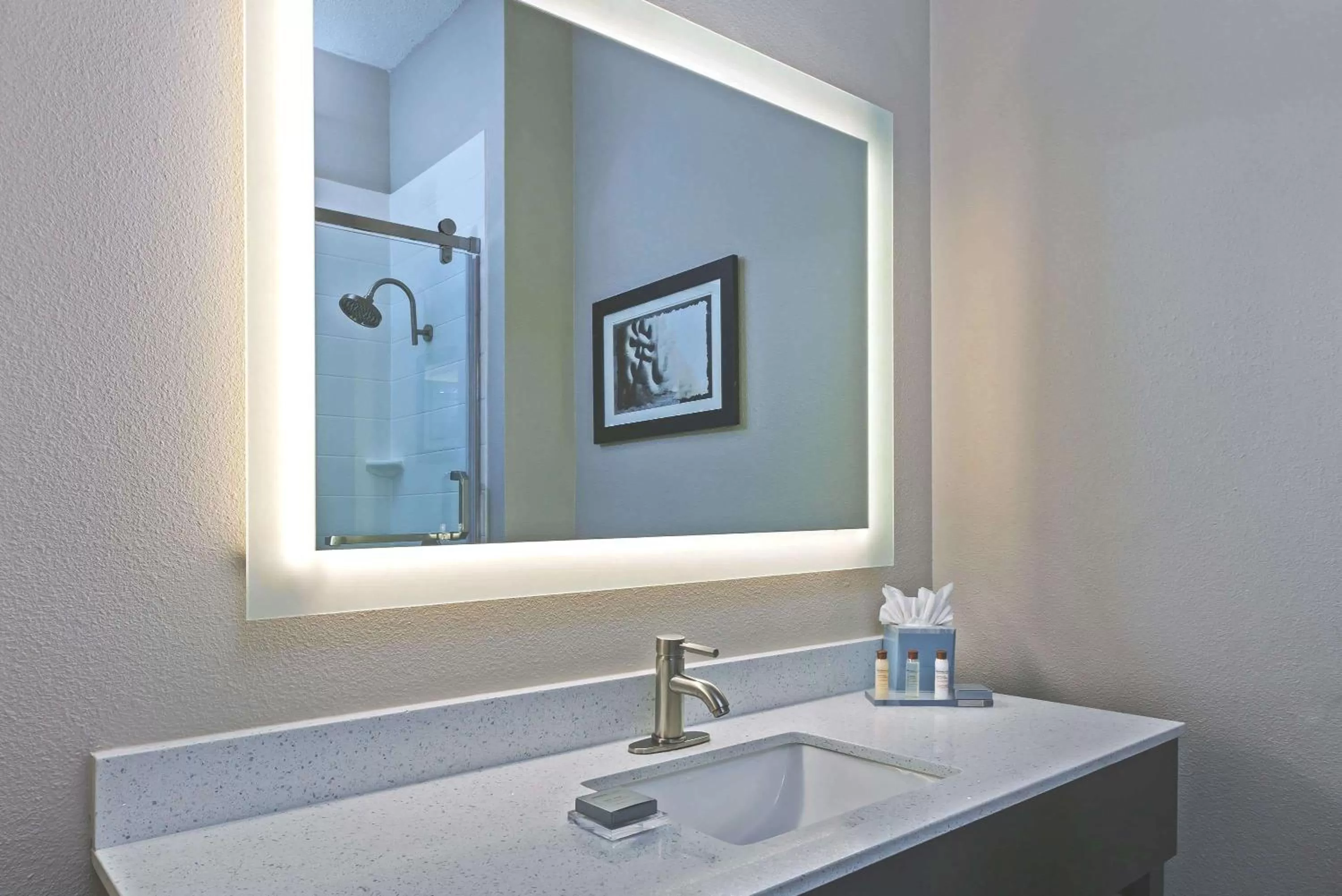 King Studio Suite - Non-Smoking in Wingate by Wyndham Dallas/Las Colinas