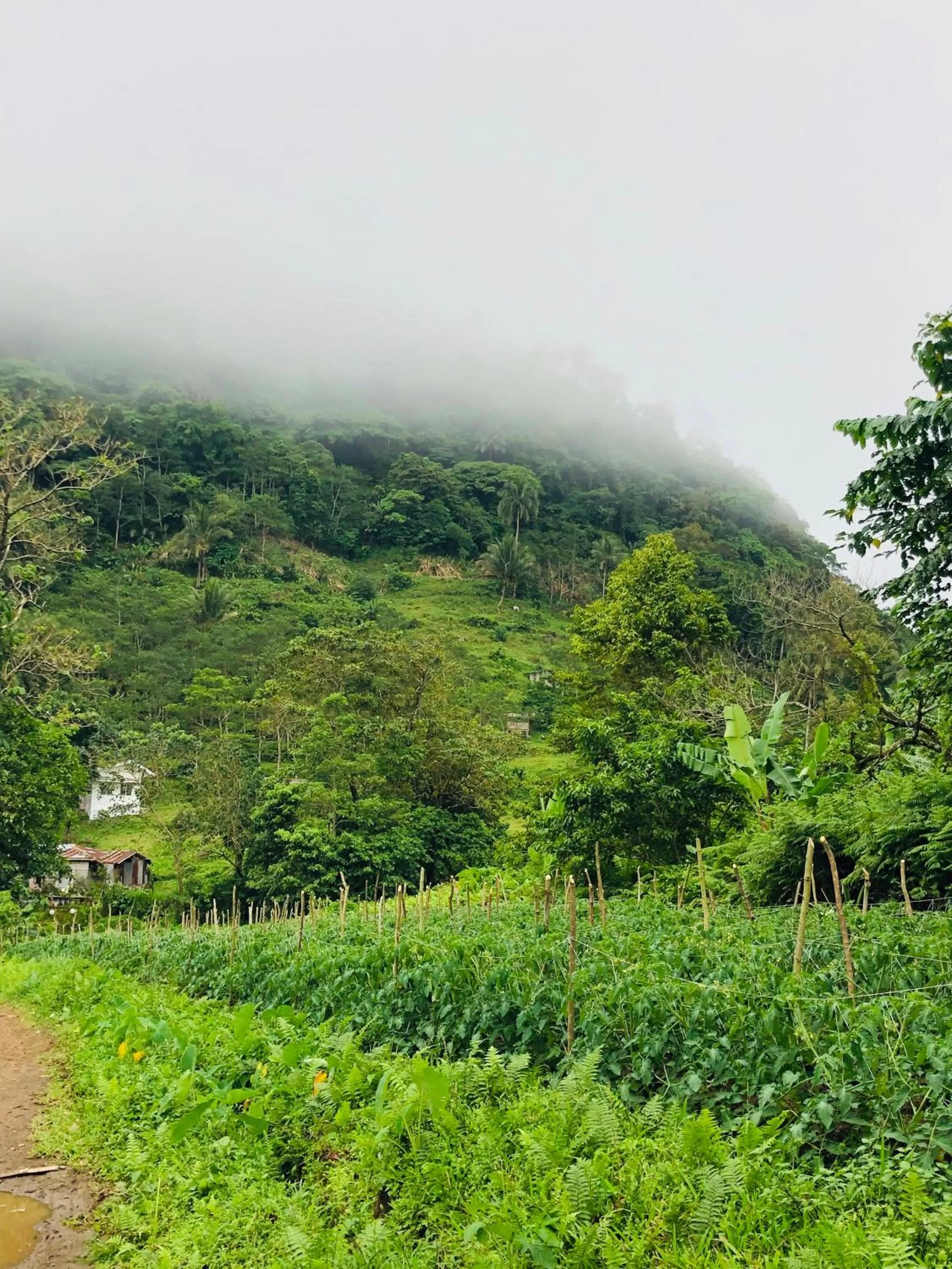 Place of worship, Natural Landscape in Bintana sa Paraiso Binunsaran