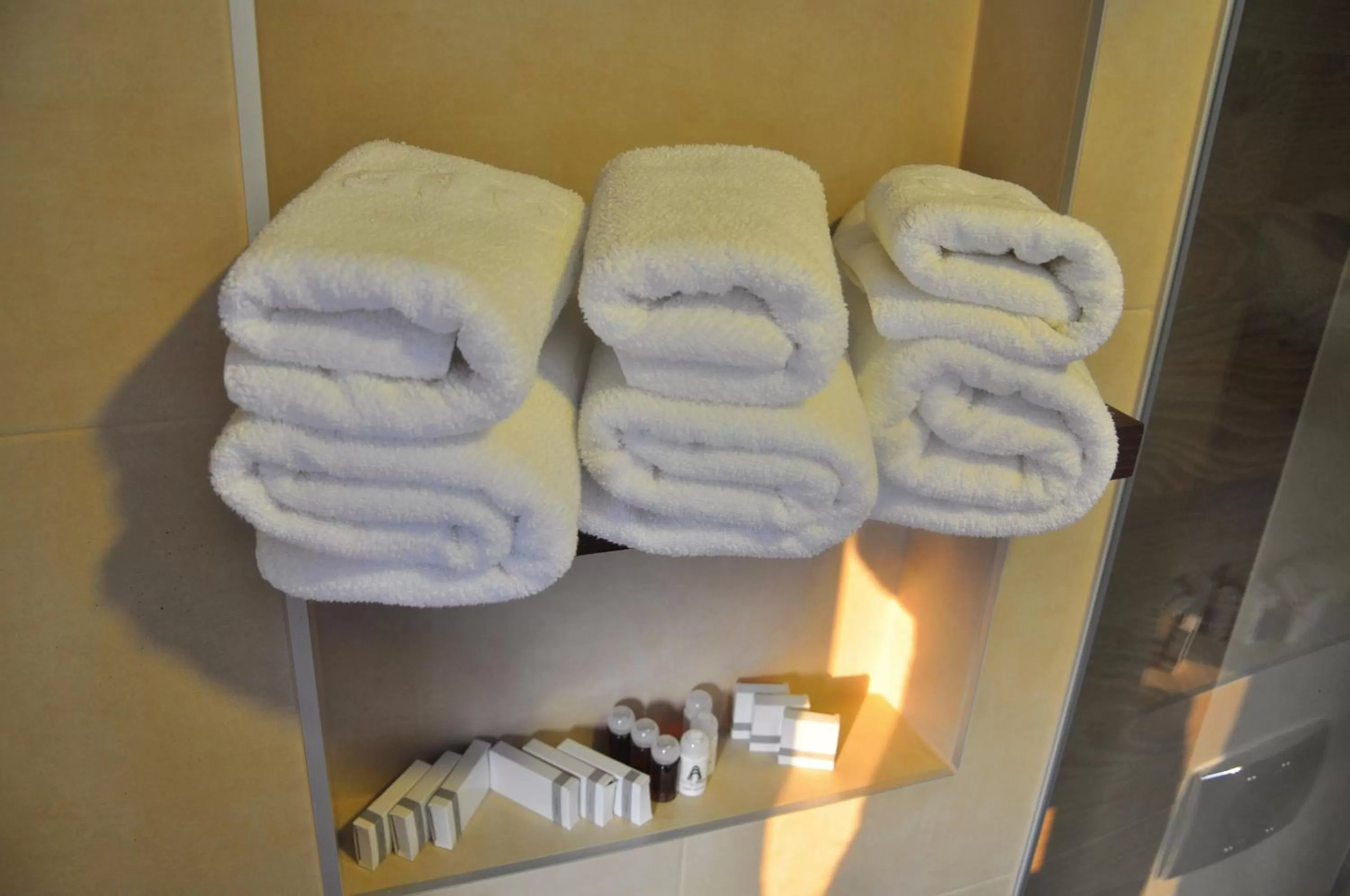 Shower in Hotel Noble