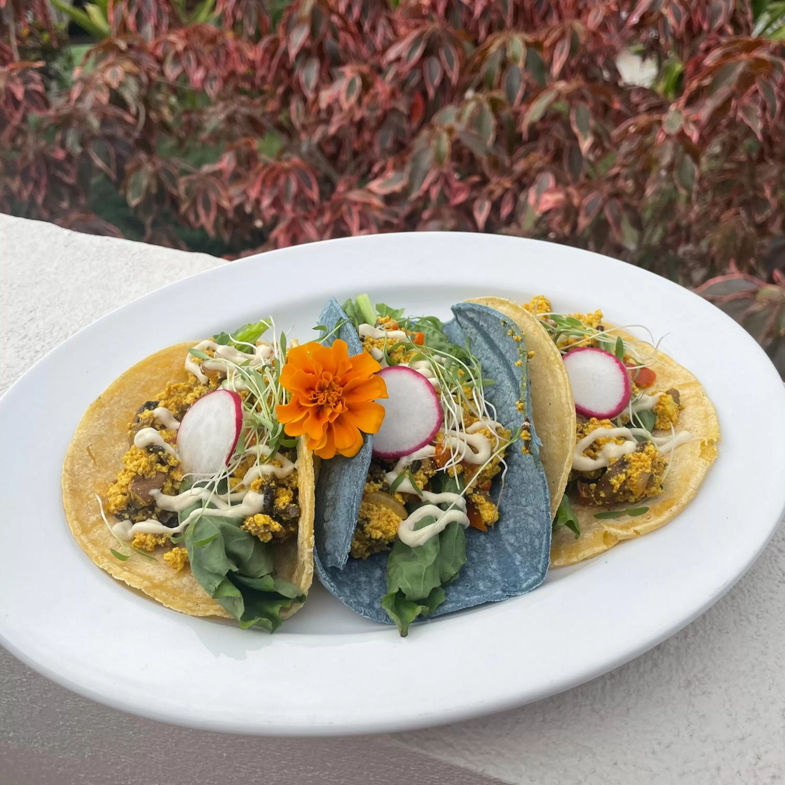 Food and drinks in Casa Grande Mountain Retreat - Adults Only