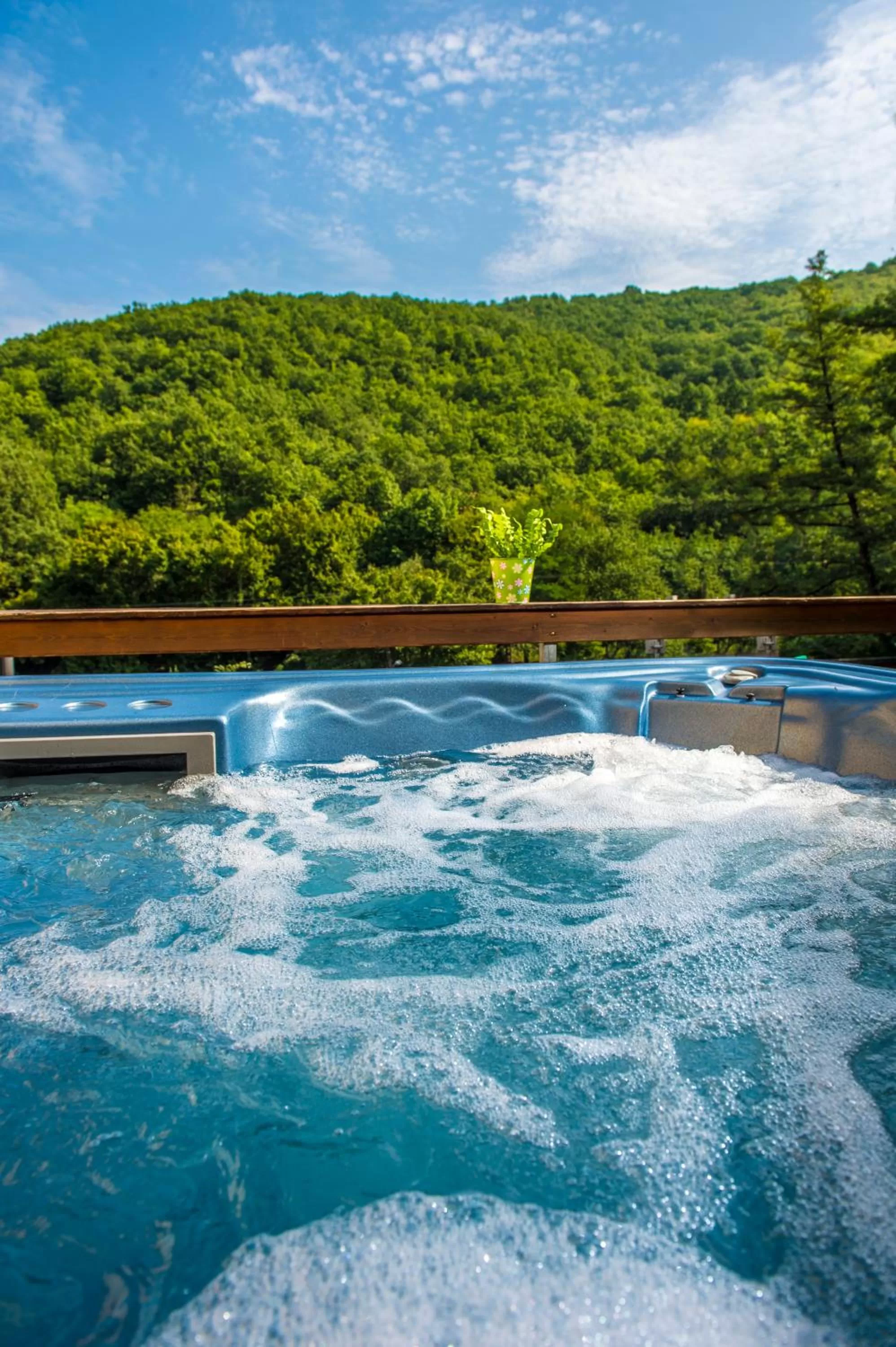 Garden in Patak Park Hotel Visegrád