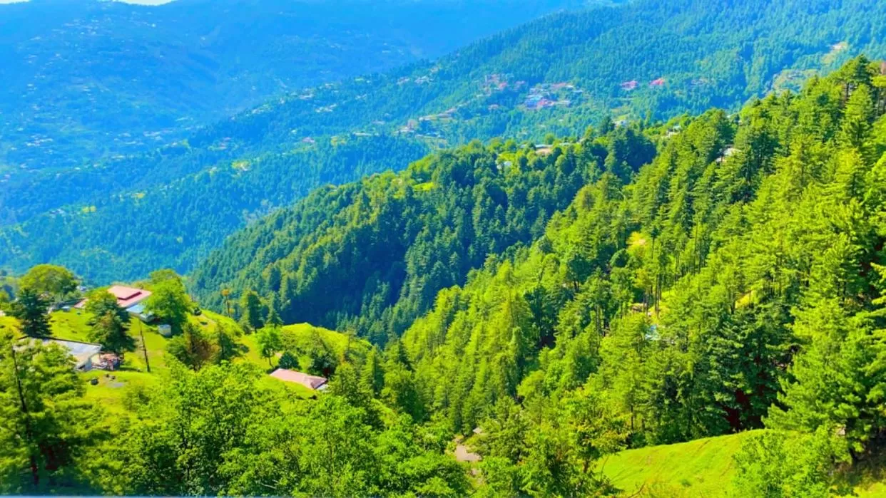Natural Landscape in Shagufta Royal Hotel Murree
