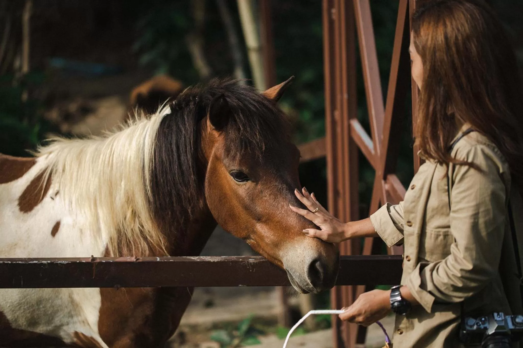 Animals in Kachonghills Tented Resort Trang