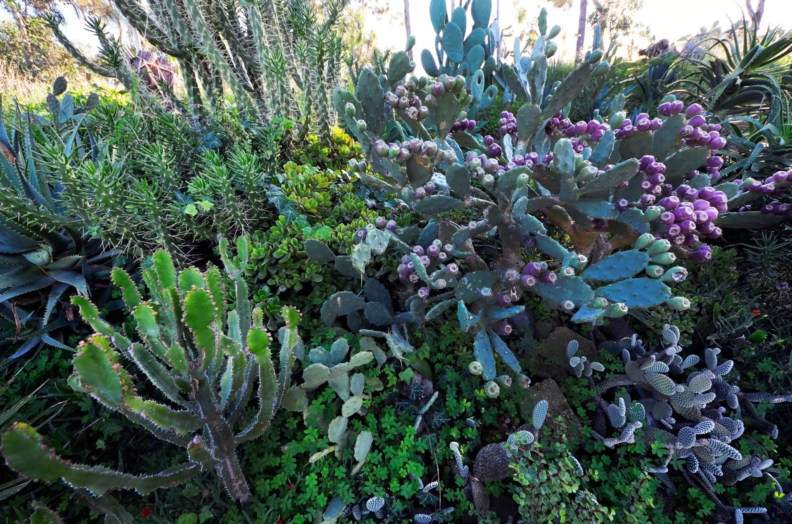 Neighbourhood in Hotel Villa d'Amato