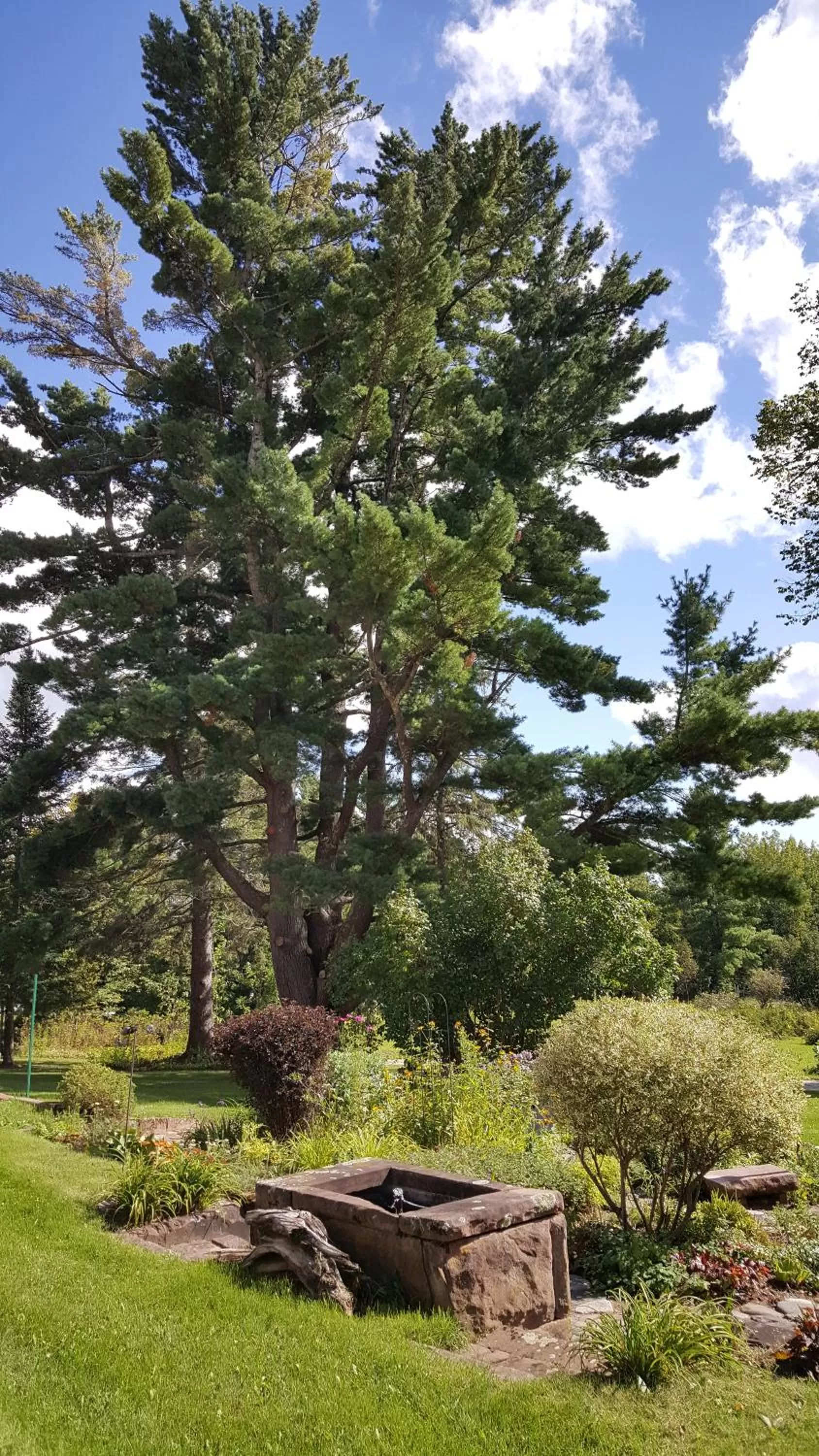 Garden in Pinehurst Inn Bed & Breakfast