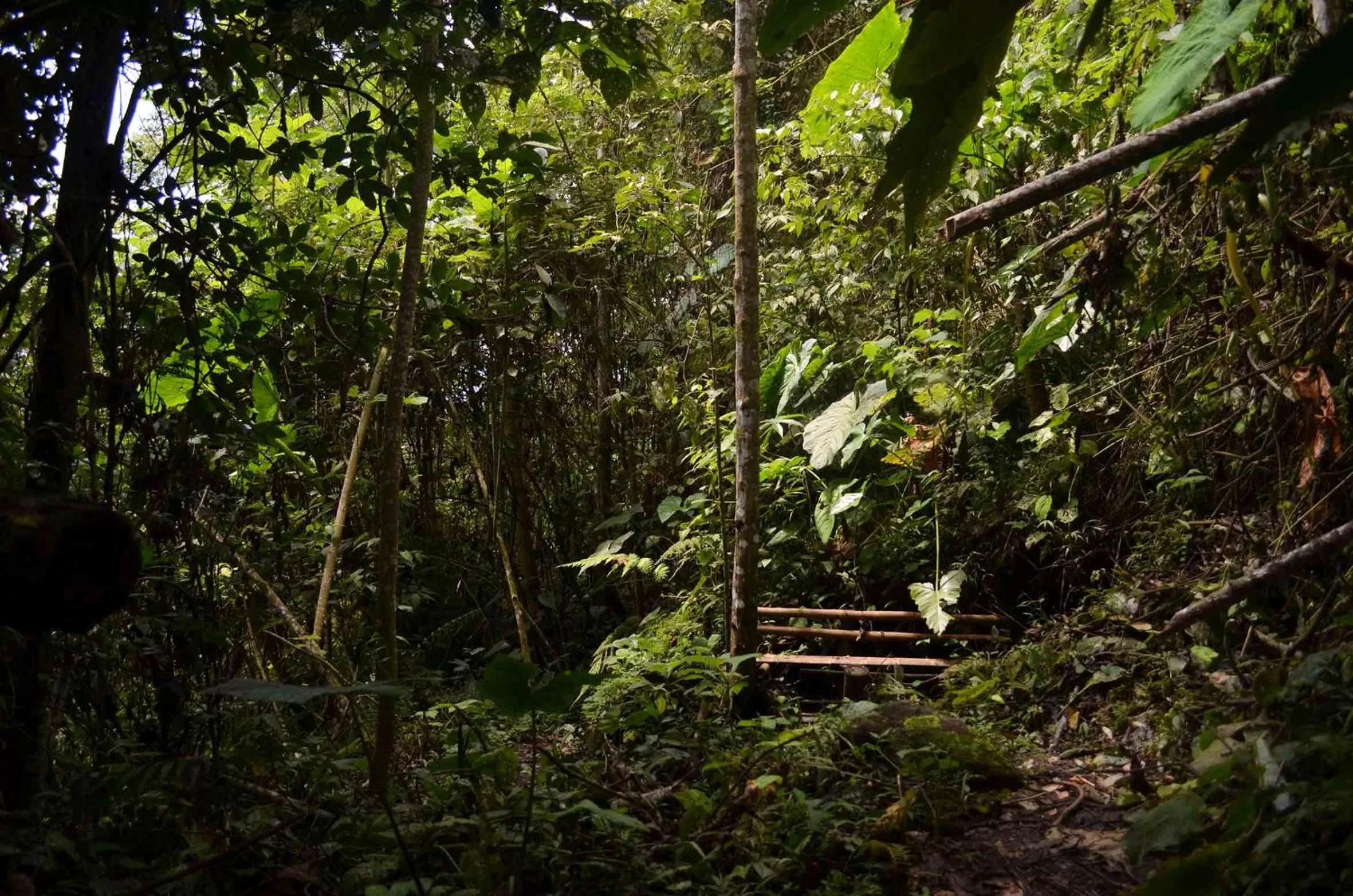 Hiking in Eco Lodge La Juanita