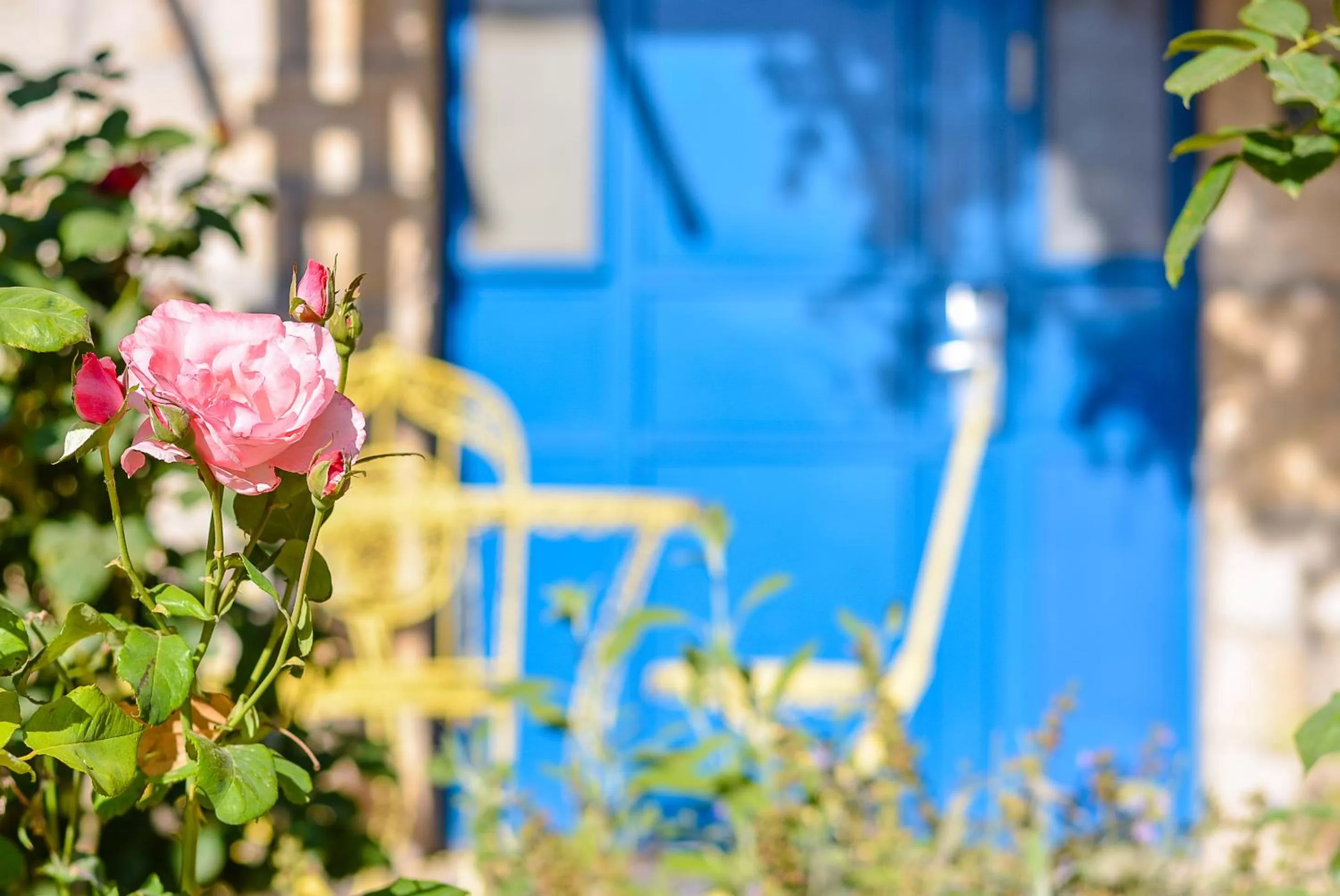 Other in Ruth Safed By Dan Hotels