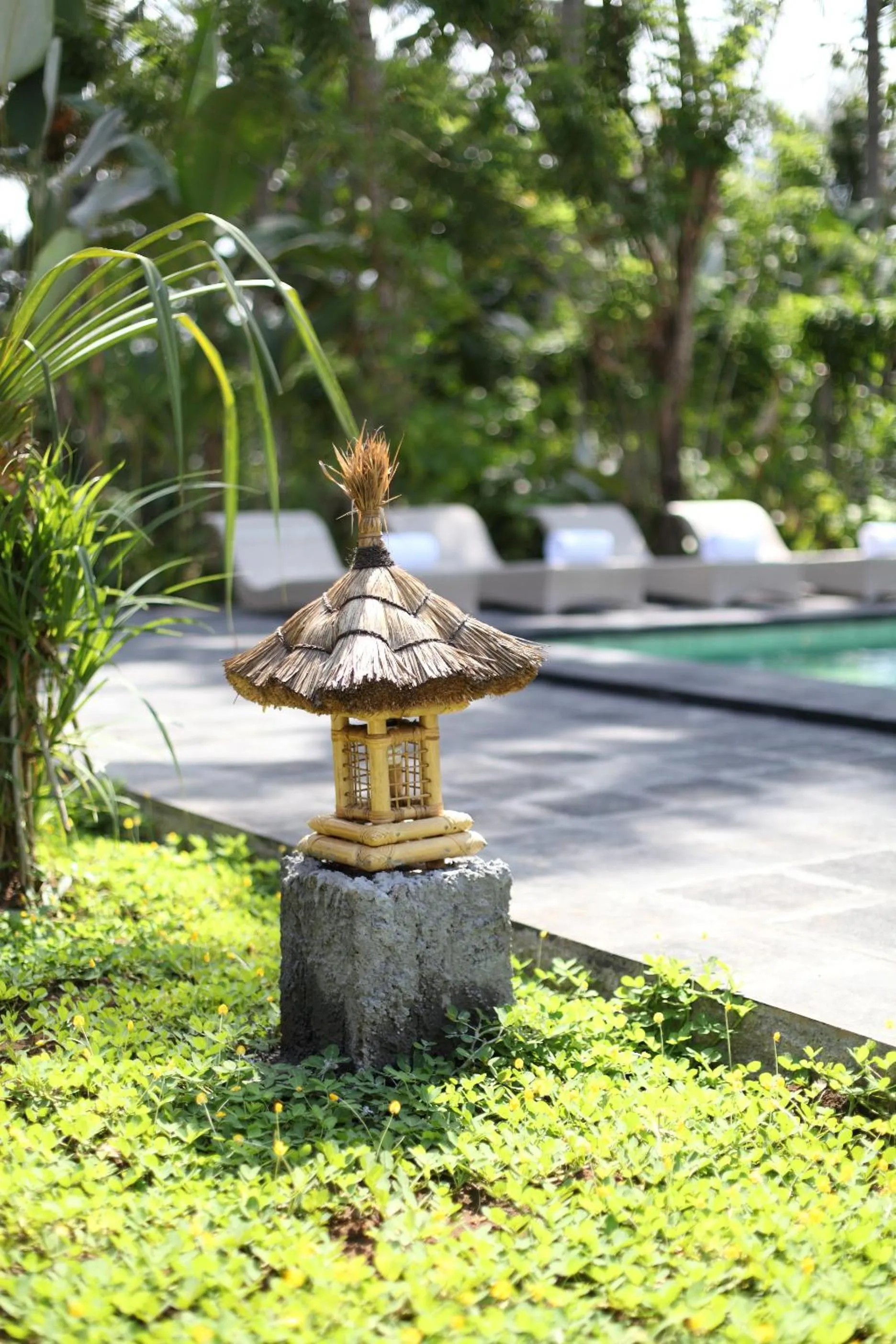 Garden in Ubad Retreat