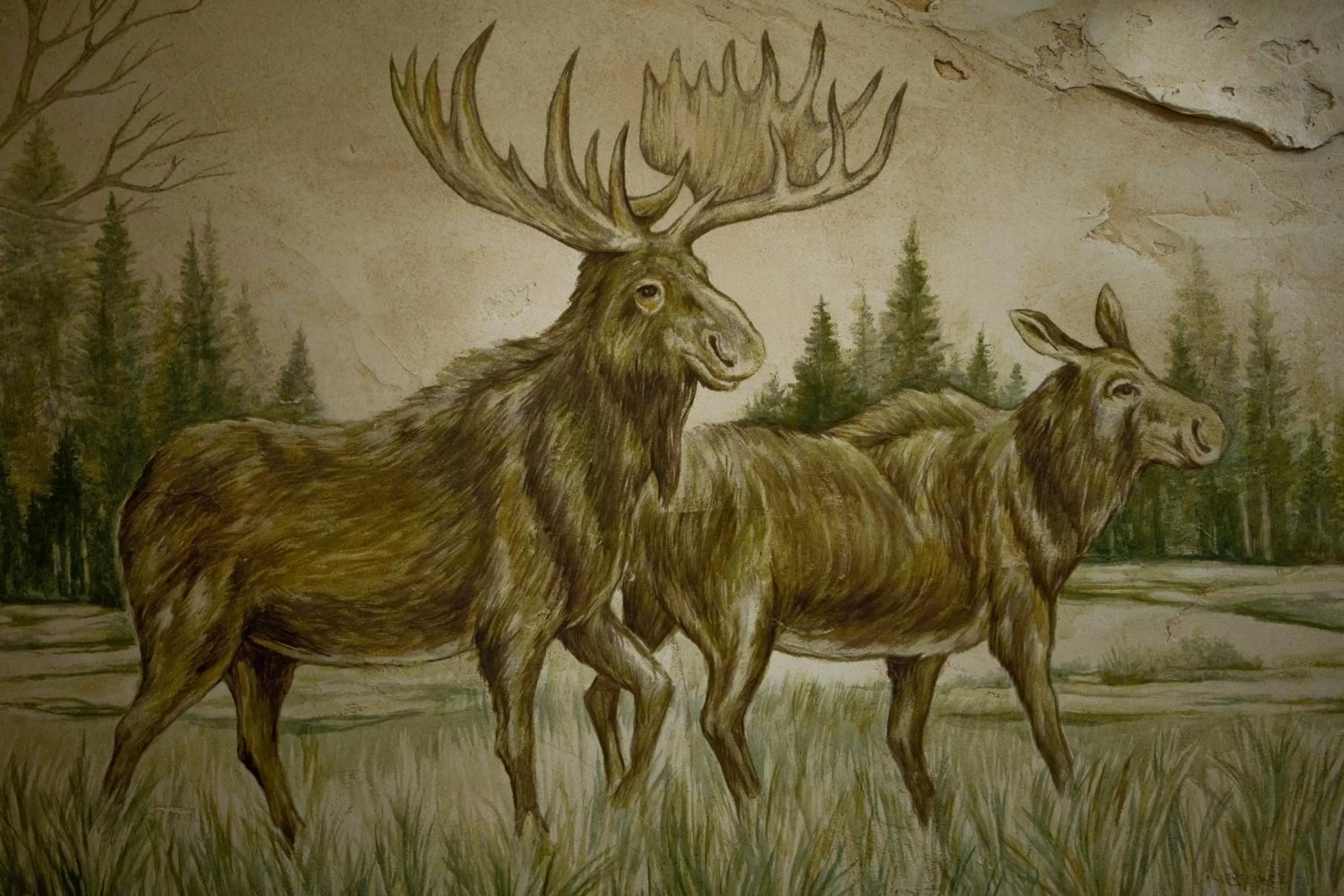 Leśny Dworek Zakopane