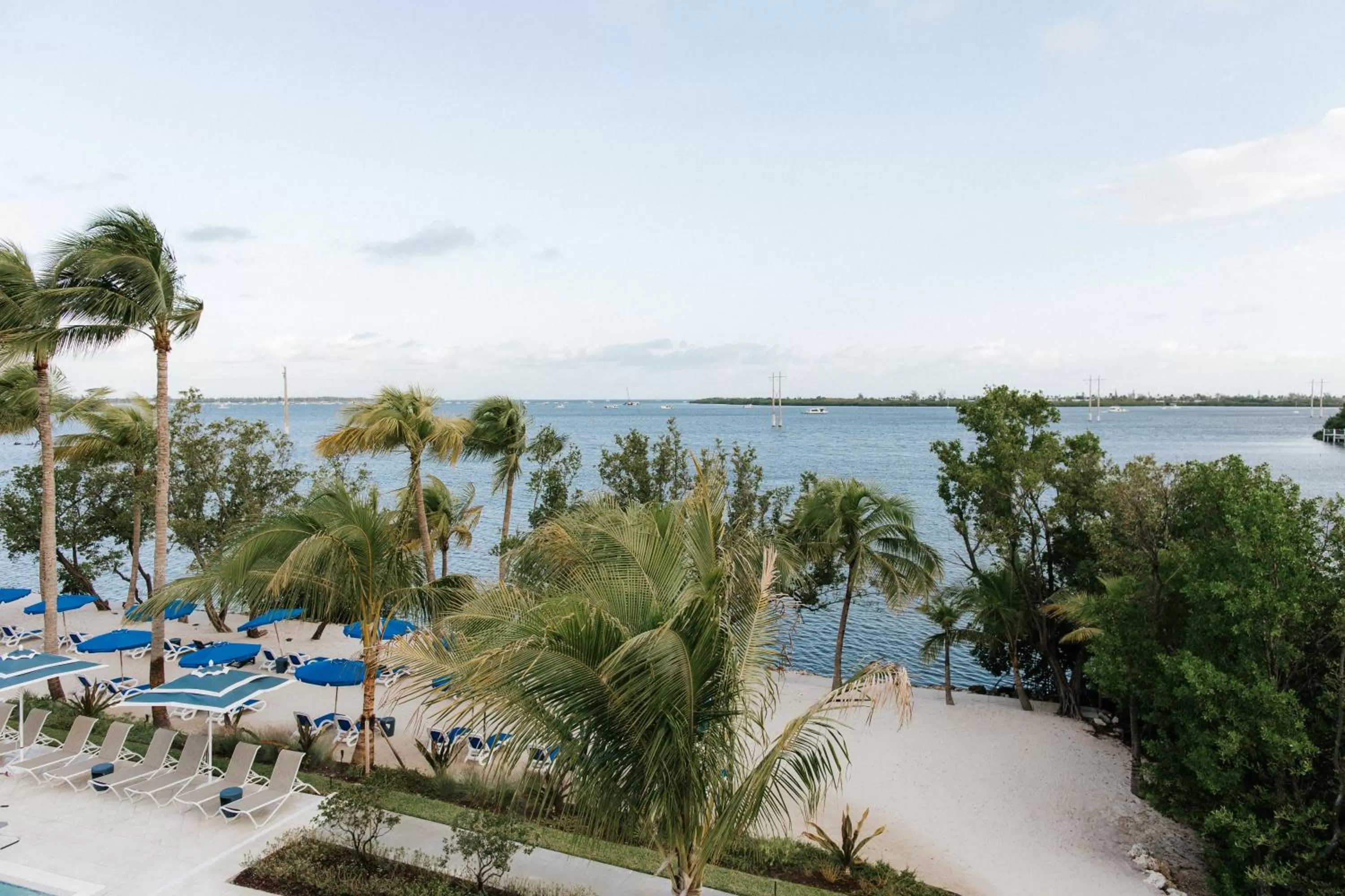 Beach, Pool View in The Capitana Key West