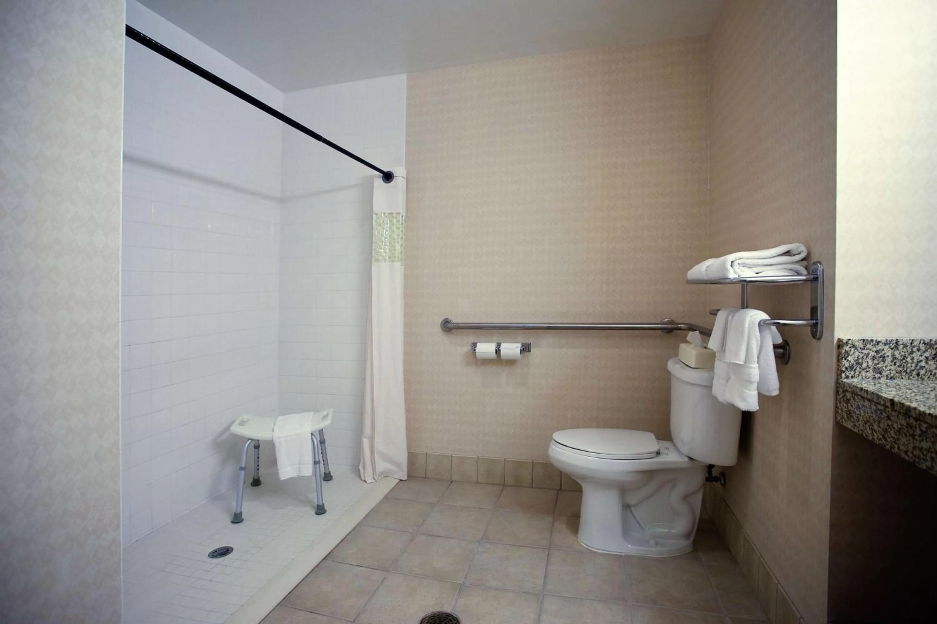 Bathroom in Hampton Inn Carrollton