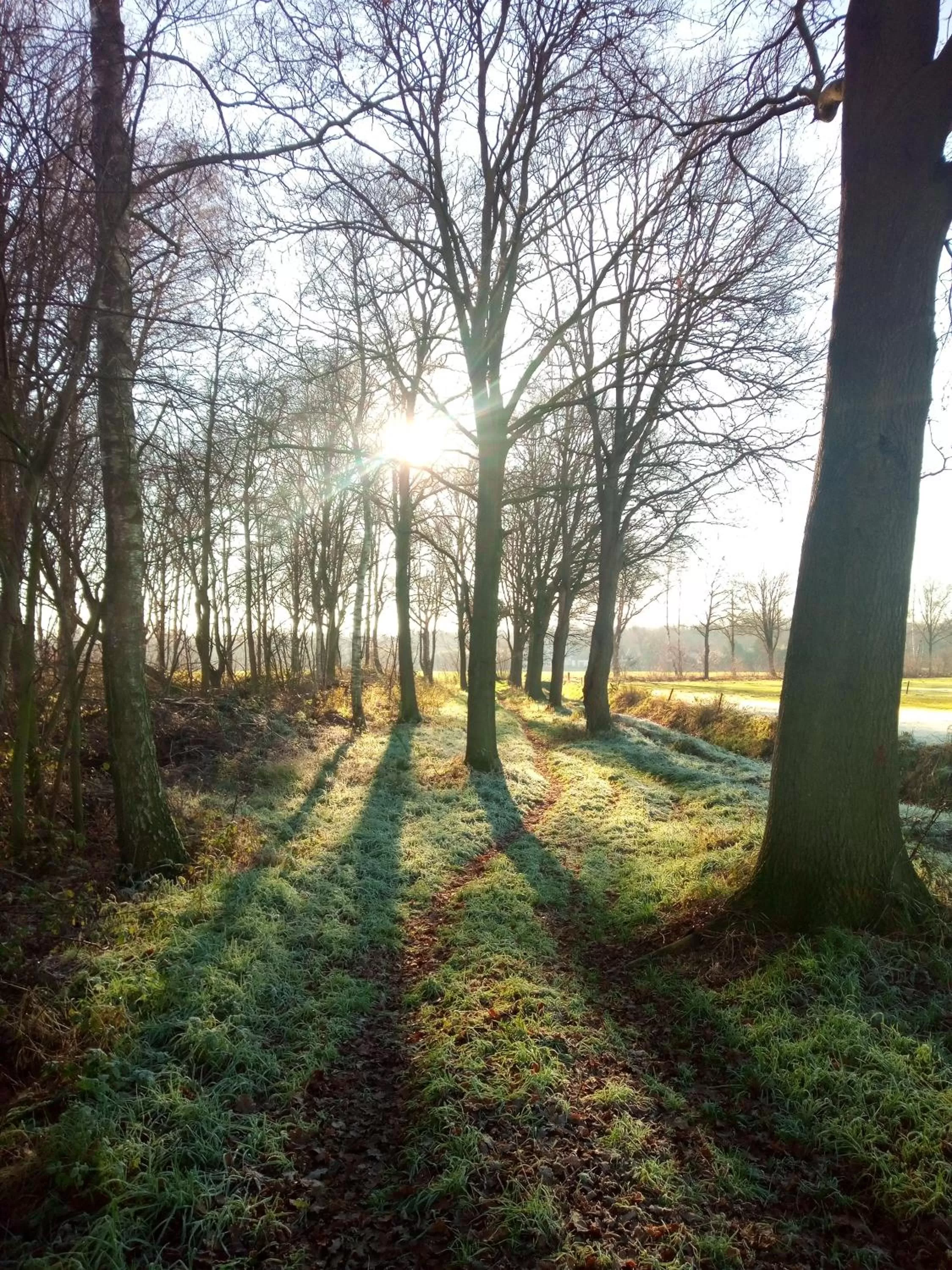 Natural landscape, Garden in B&B In de Wei