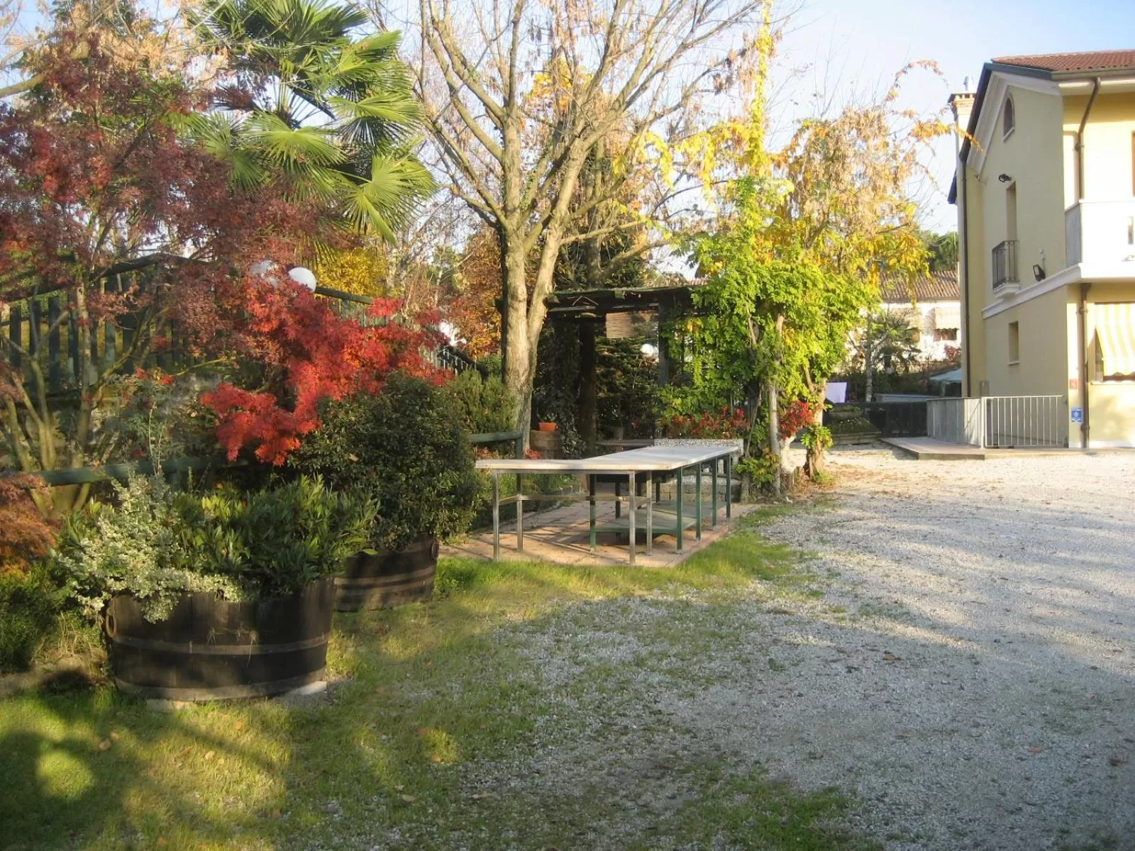 BBQ facilities in Hotel Pizzeria Ristorante "Al Leone"