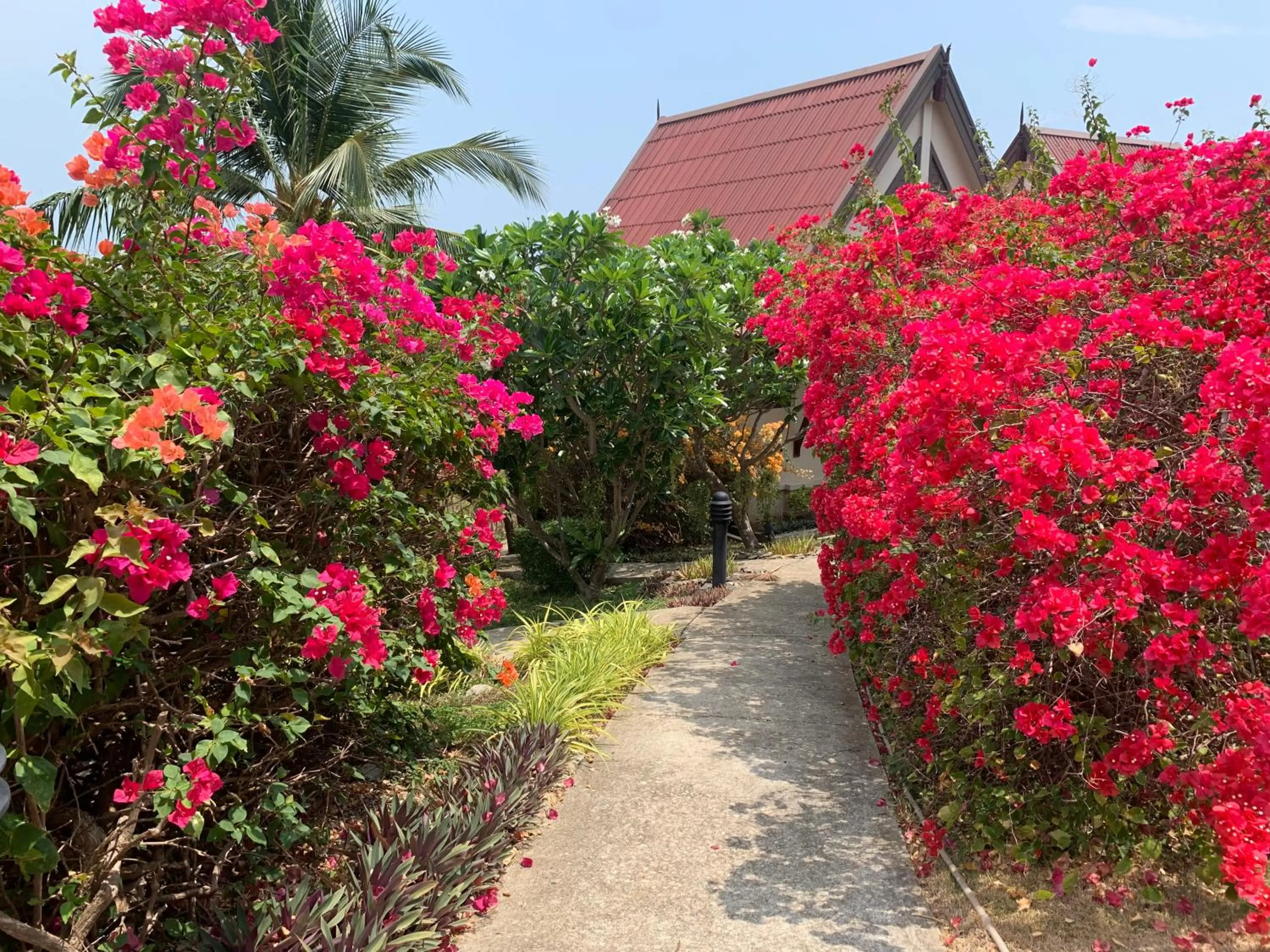 Baan KanTiang See Villas - SHA Extra Plus