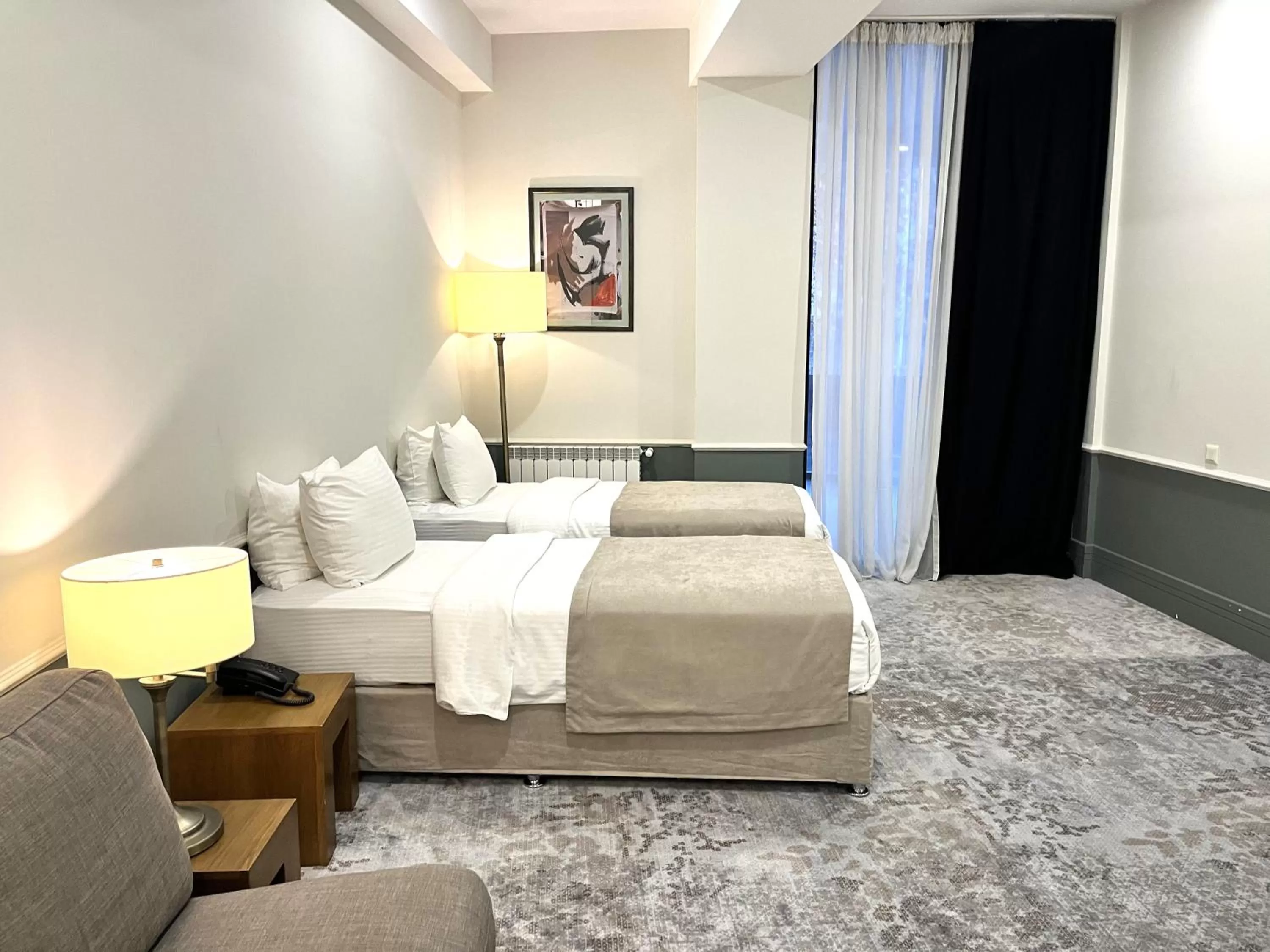 Family Room with Bath in Europe Hotel