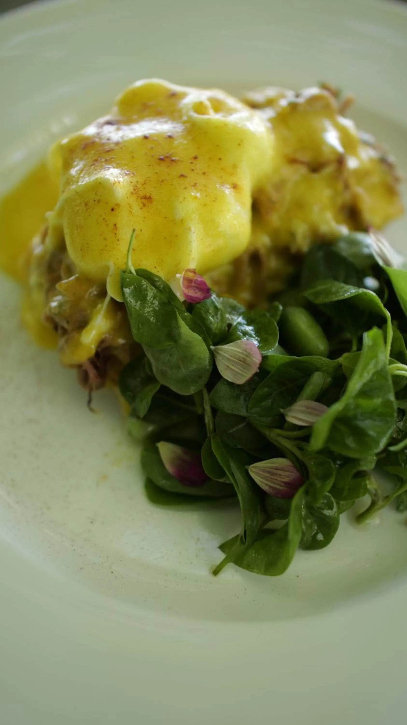 Restaurant/places to eat in Mahogany Resort & Spa