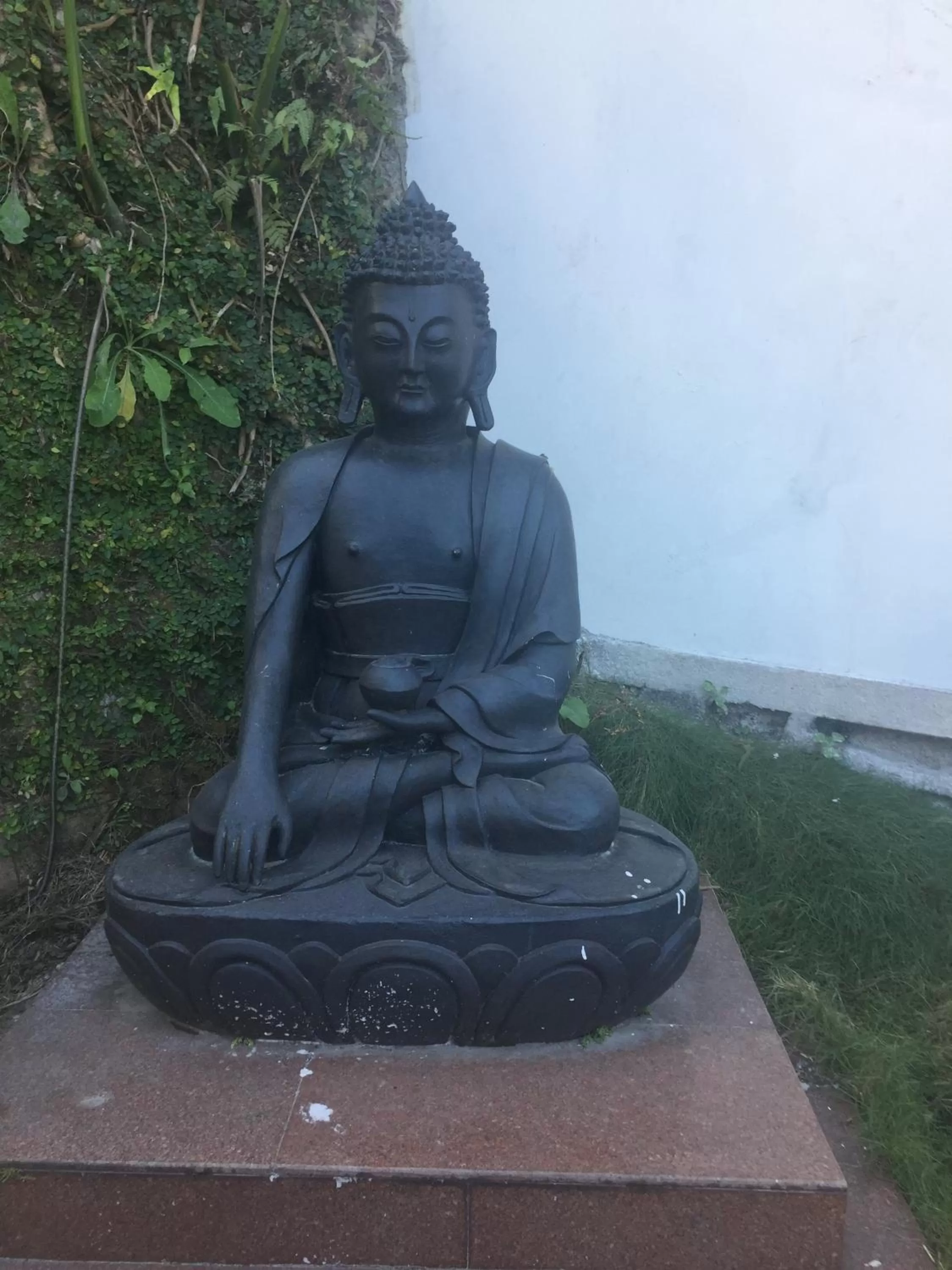 Property building in Sterling Gangtok Orange Village