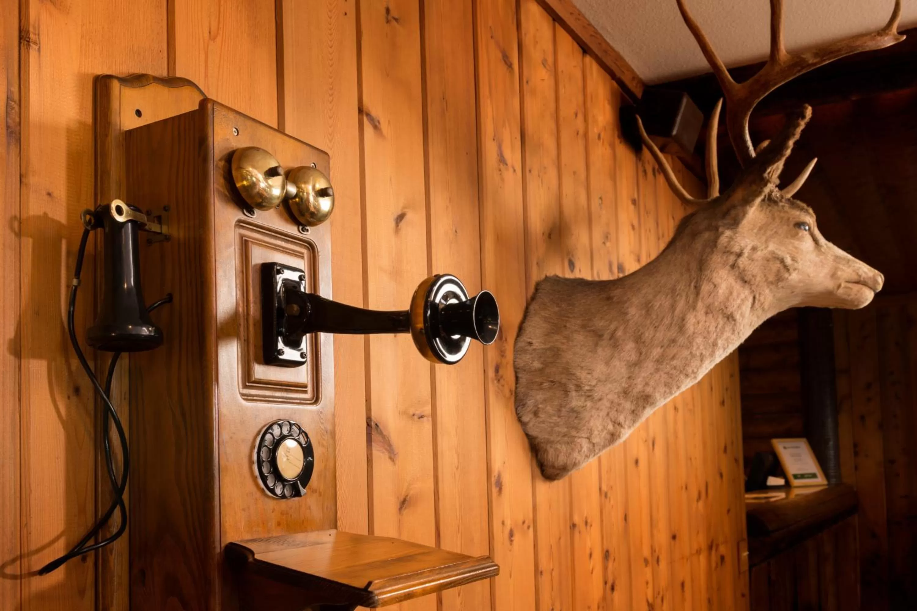 Lobby or reception in Ayres Lodge Alpine