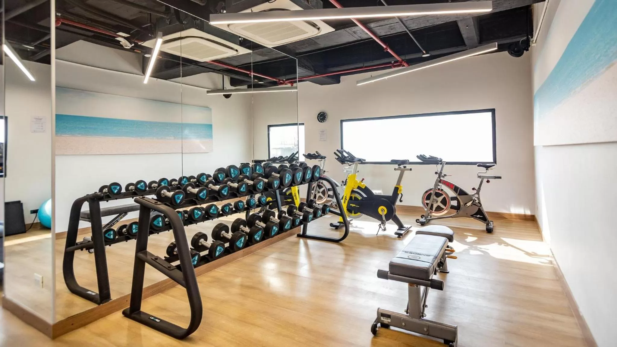 Fitness centre/facilities in Holiday Inn Express Cartagena Manga by IHG