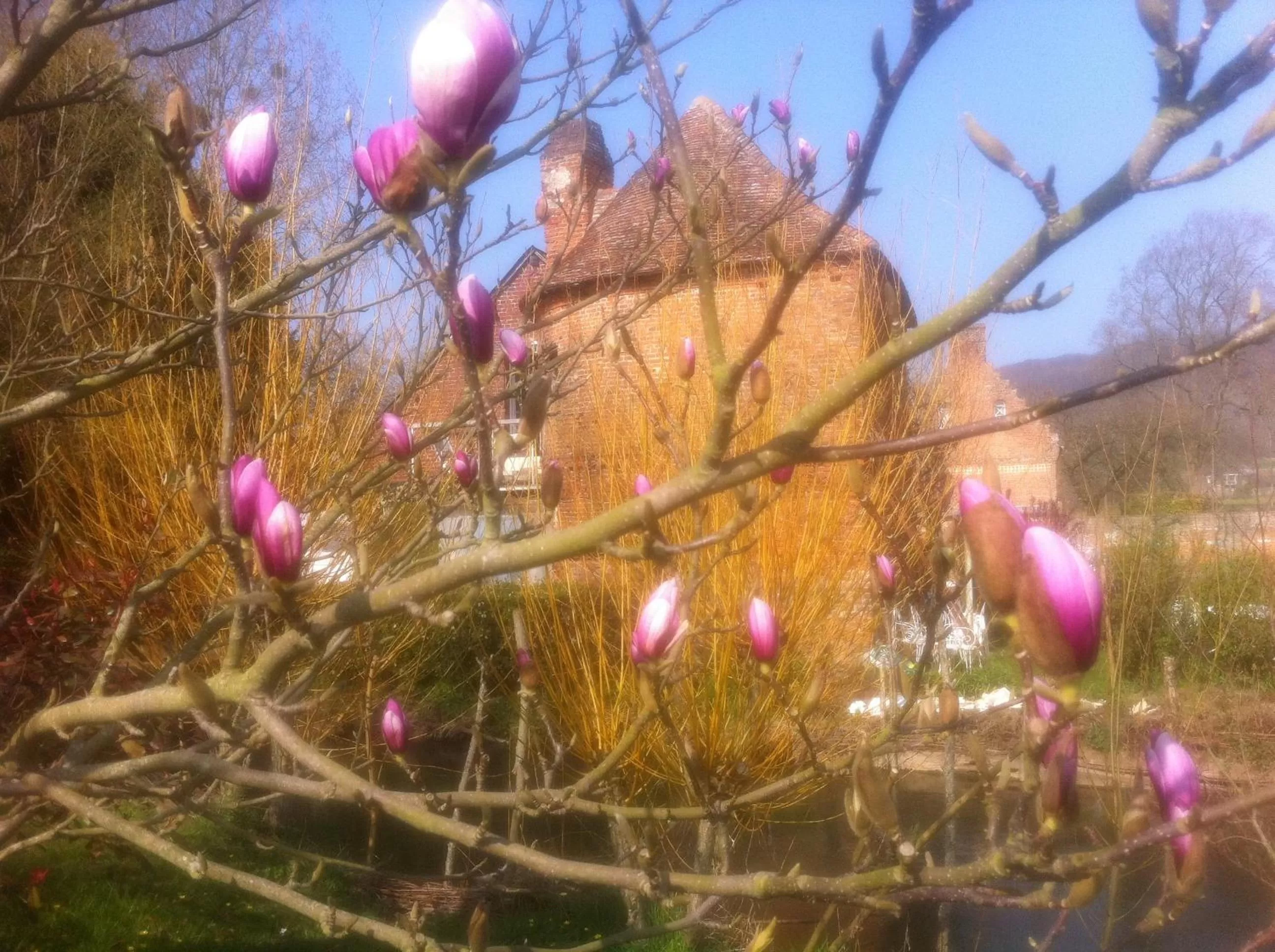 Other in Auberge du Manoir d'Archelles