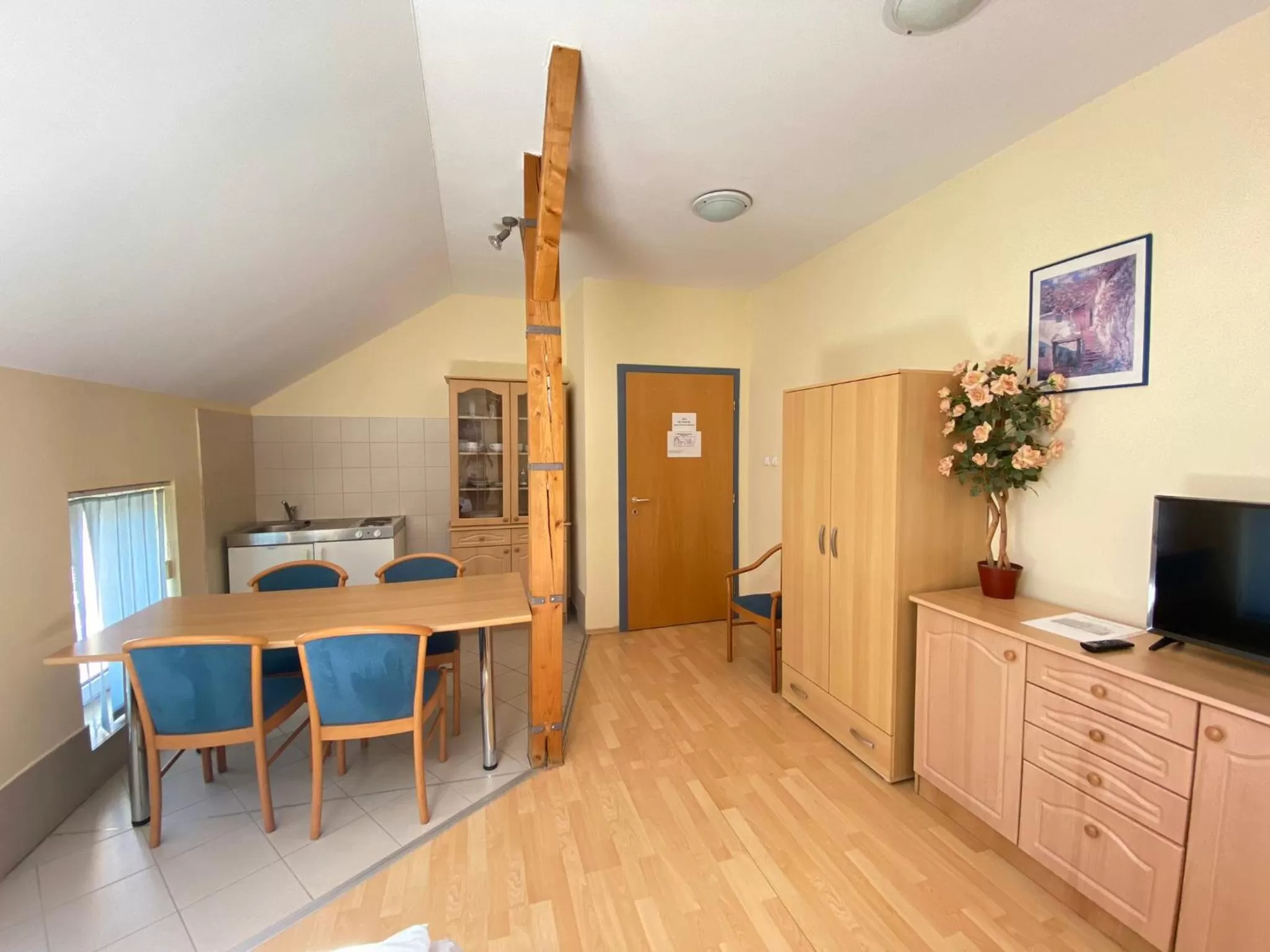 Kitchen or kitchenette in Tisza Alfa Hotel