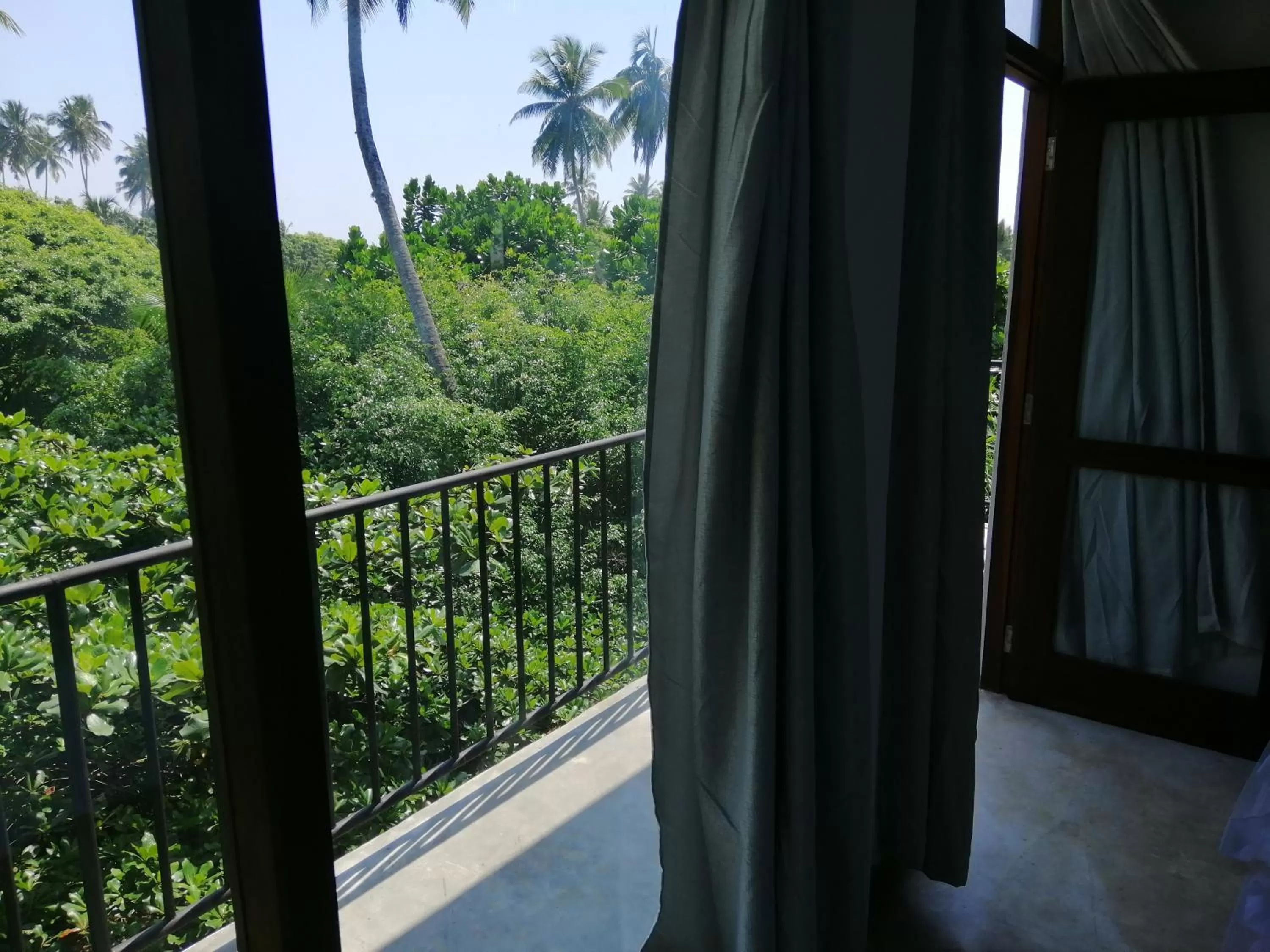 Garden view in Green Almond Hotel