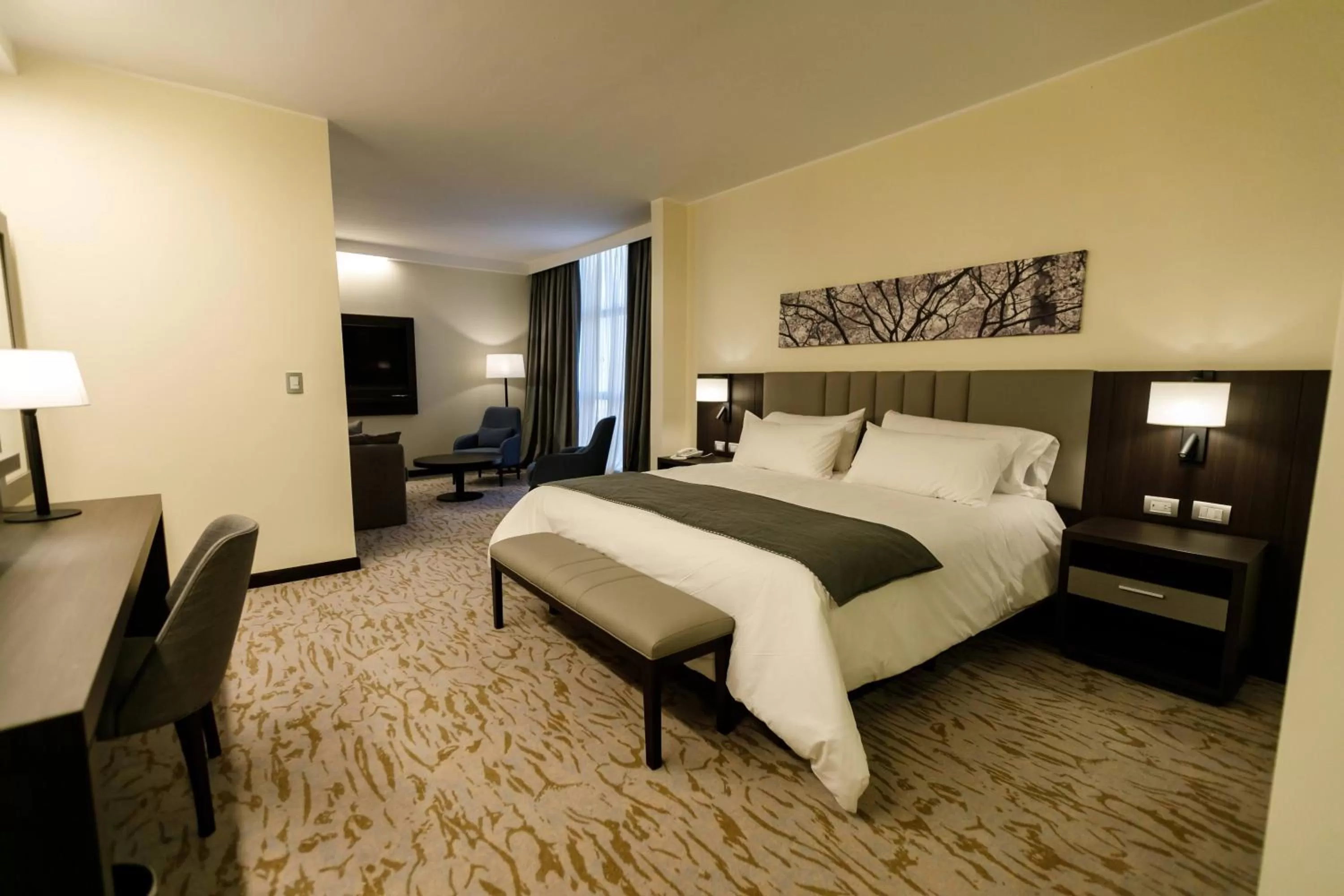 Photo of the whole room, Bed in Hilton Garden Inn Santiago Del Estero - HILTON HOTELS