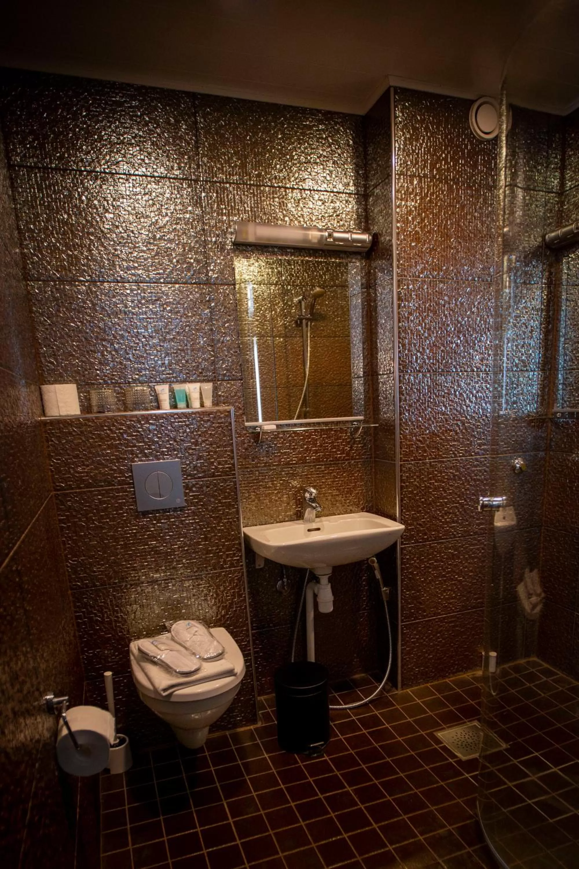 Shower in Hotelli Olof