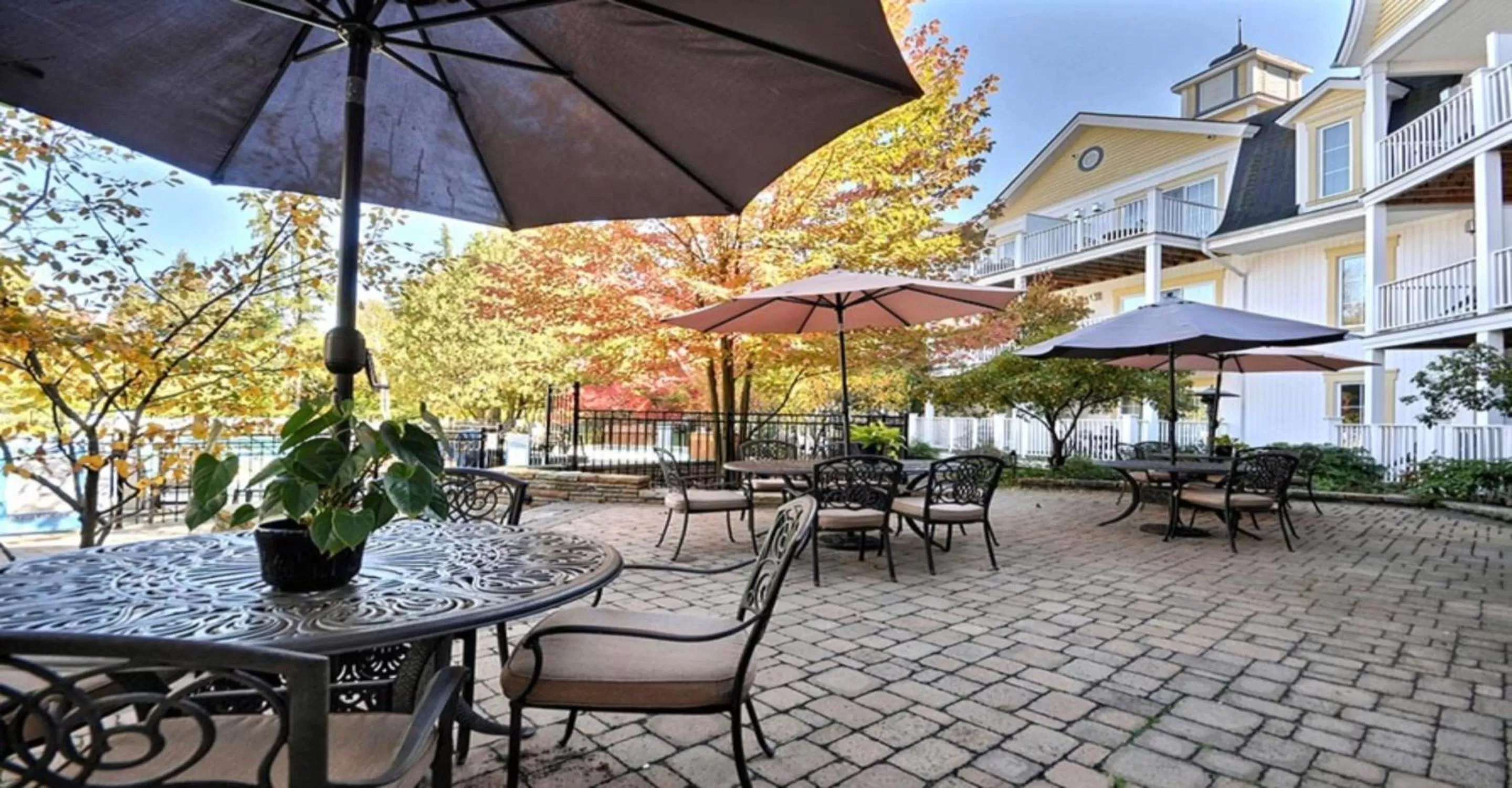 Restaurant/places to eat in Château Beauvallon