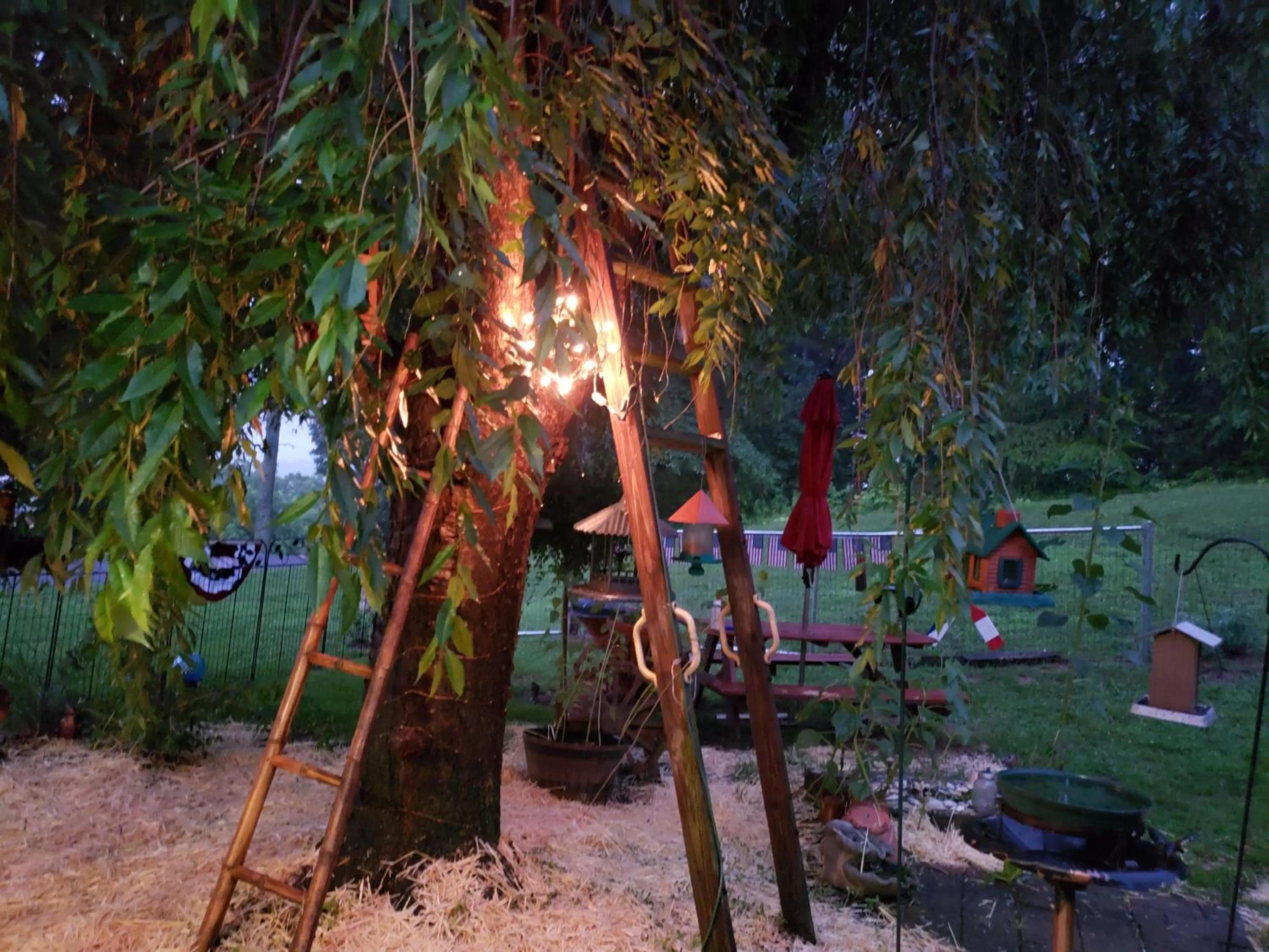 Blue Ridge Manor Bed and Breakfast