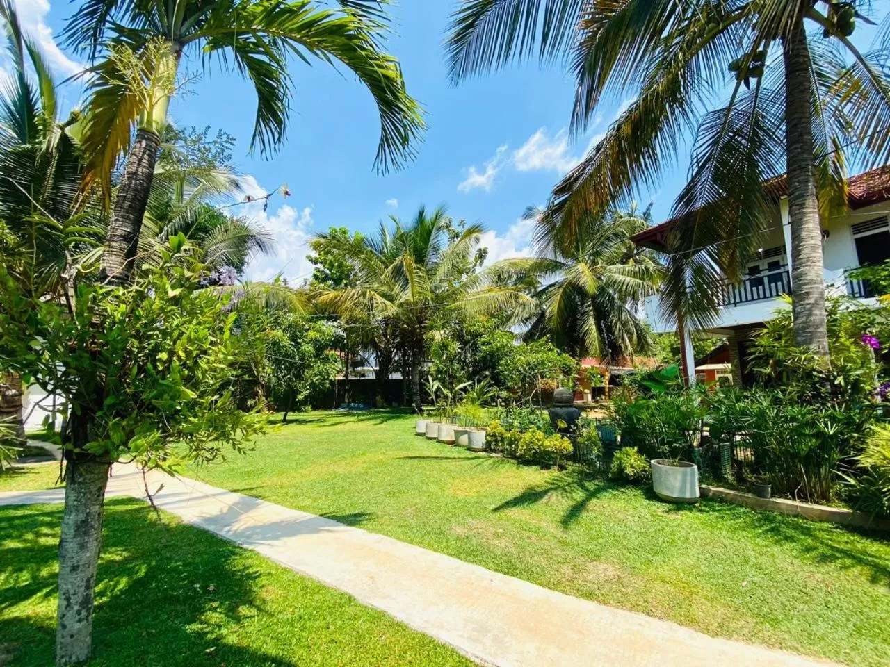 Natural landscape, Garden in Optimum Residencies