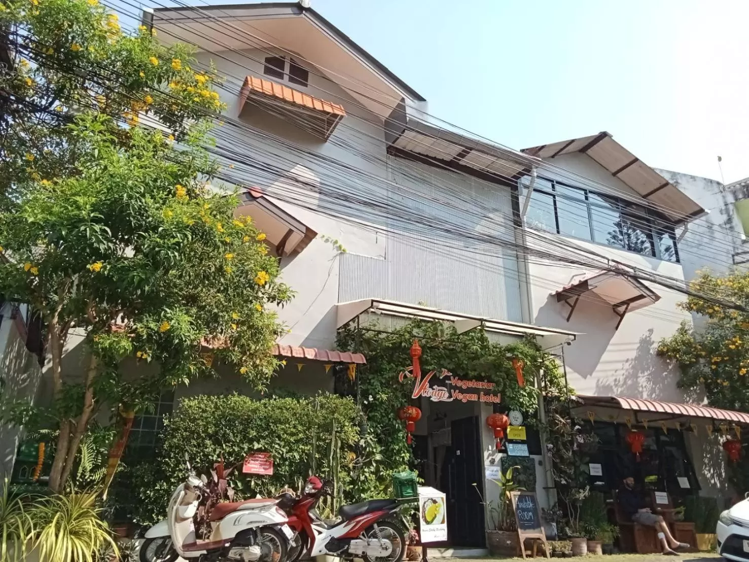 Property building in Vlodge House