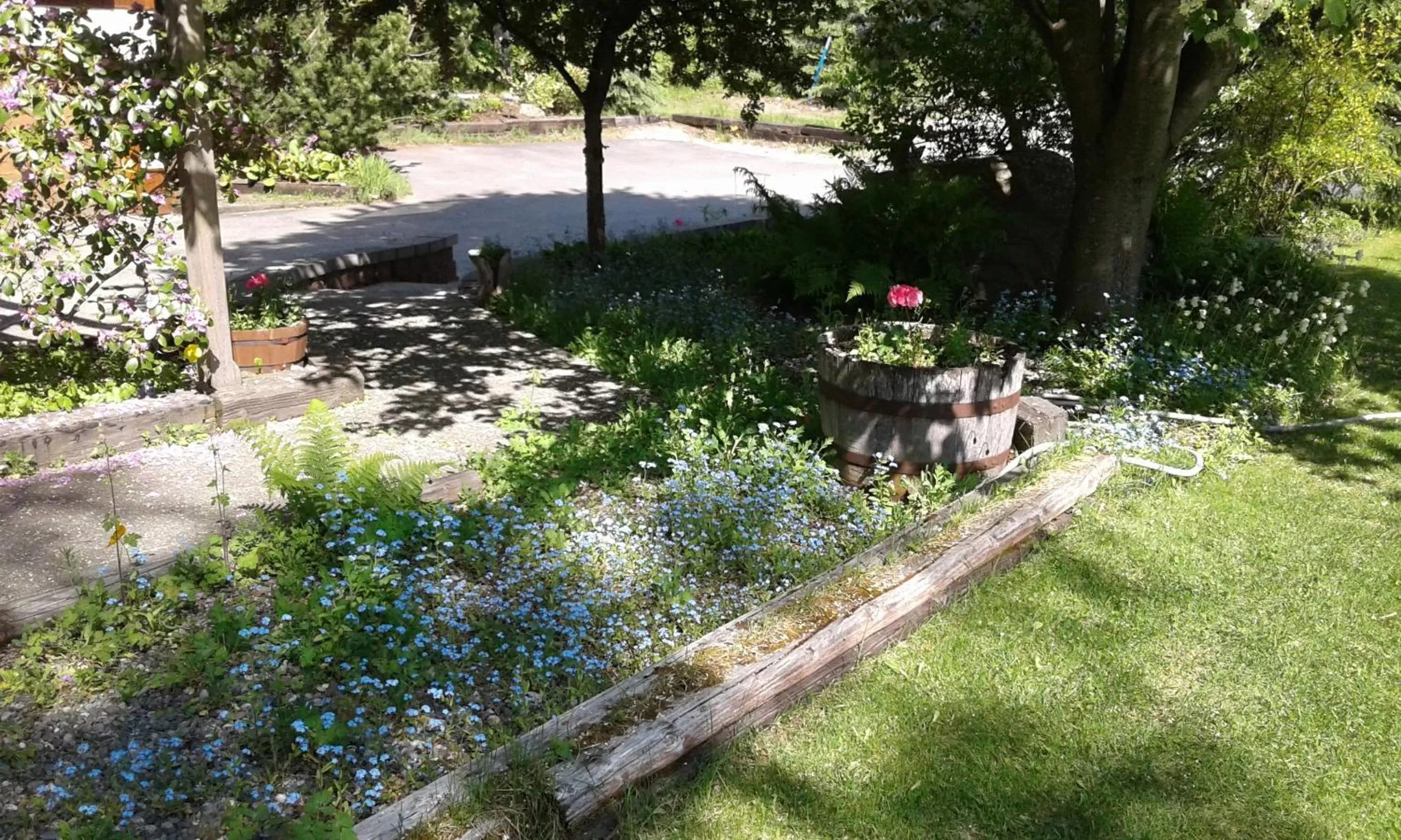 Alaska Chalet Bed & Breakfast