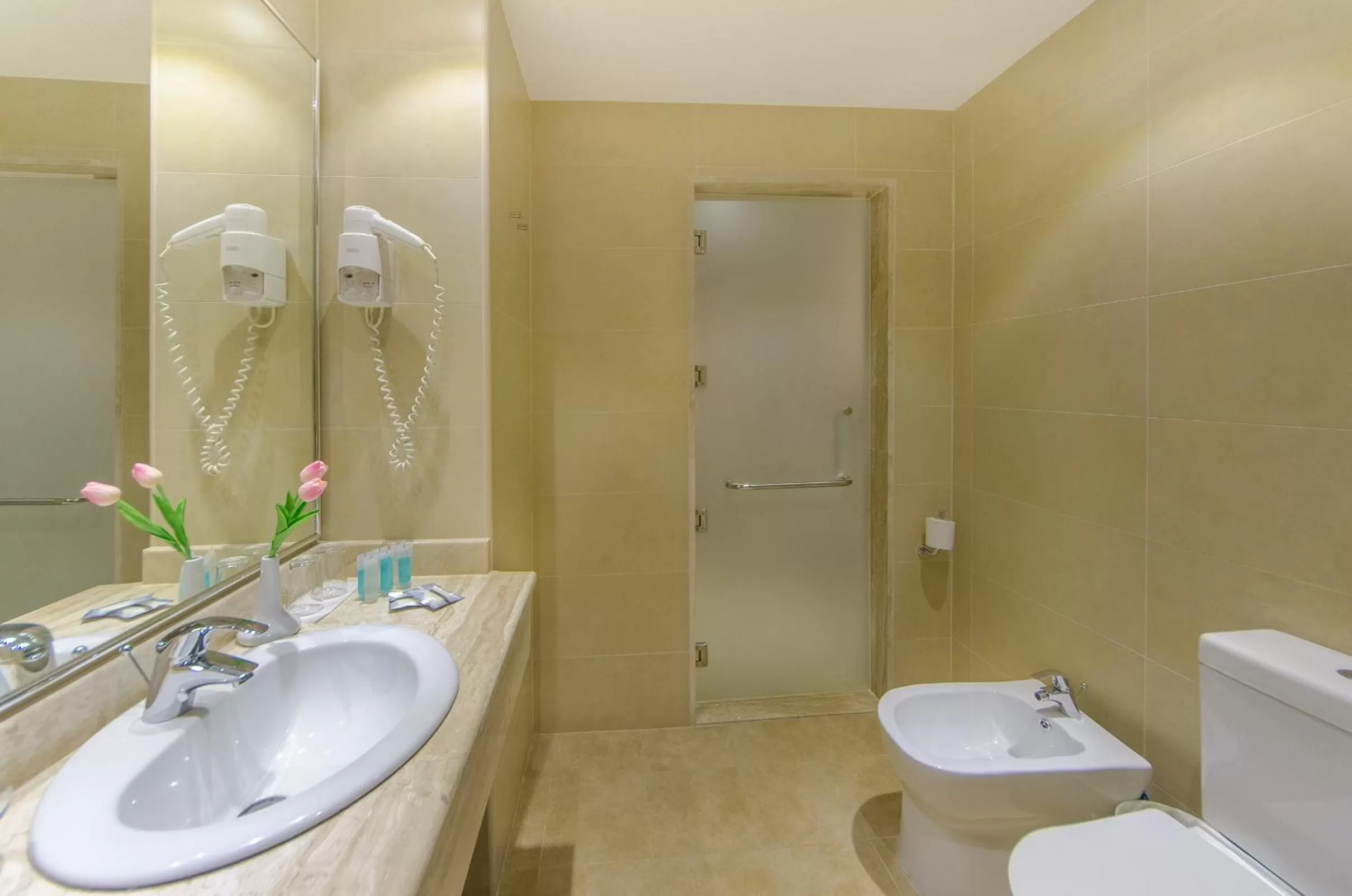 Shower in Toledo Amman Hotel