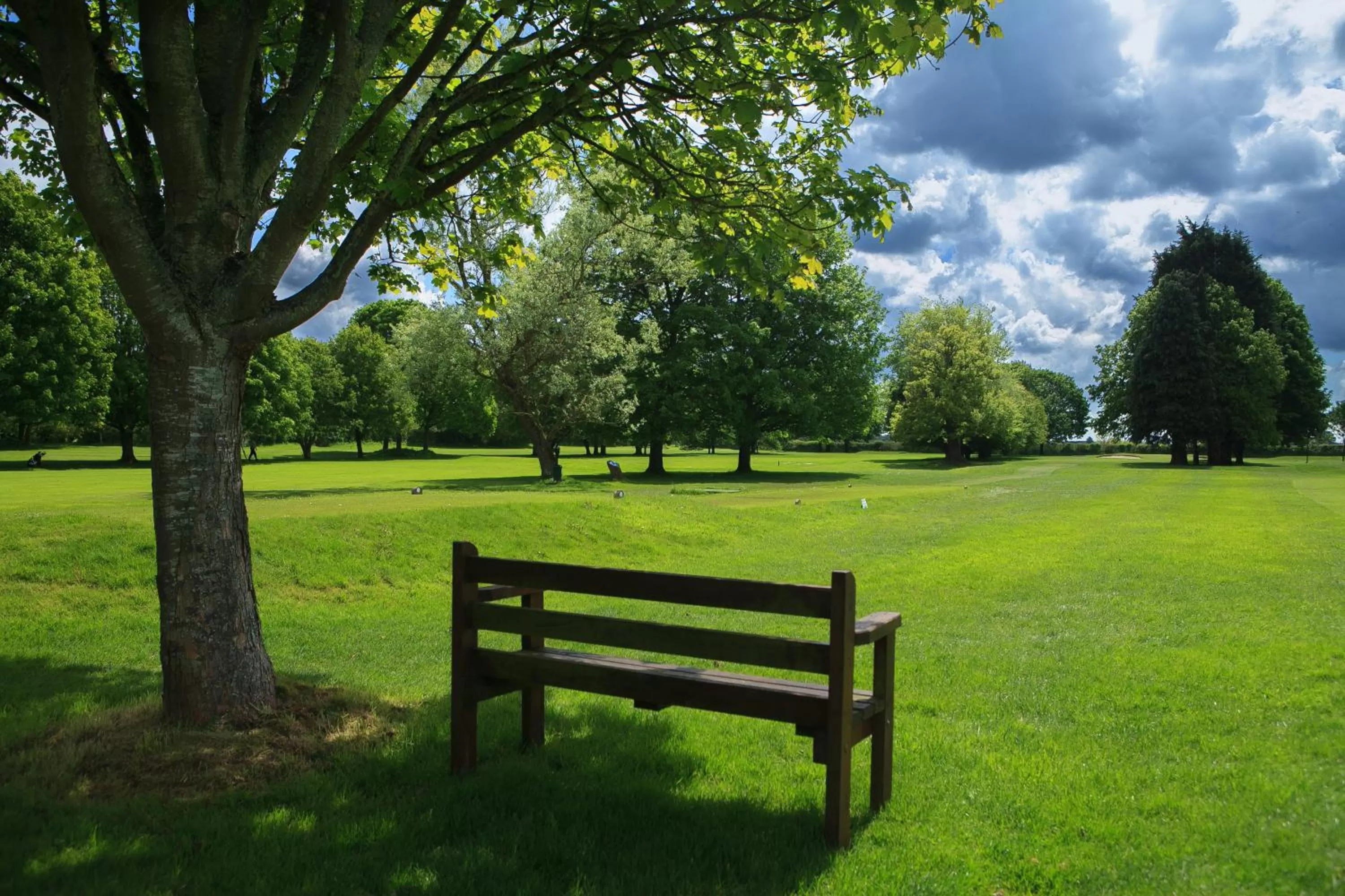 Garden in Best Western Plus Centurion Hotel