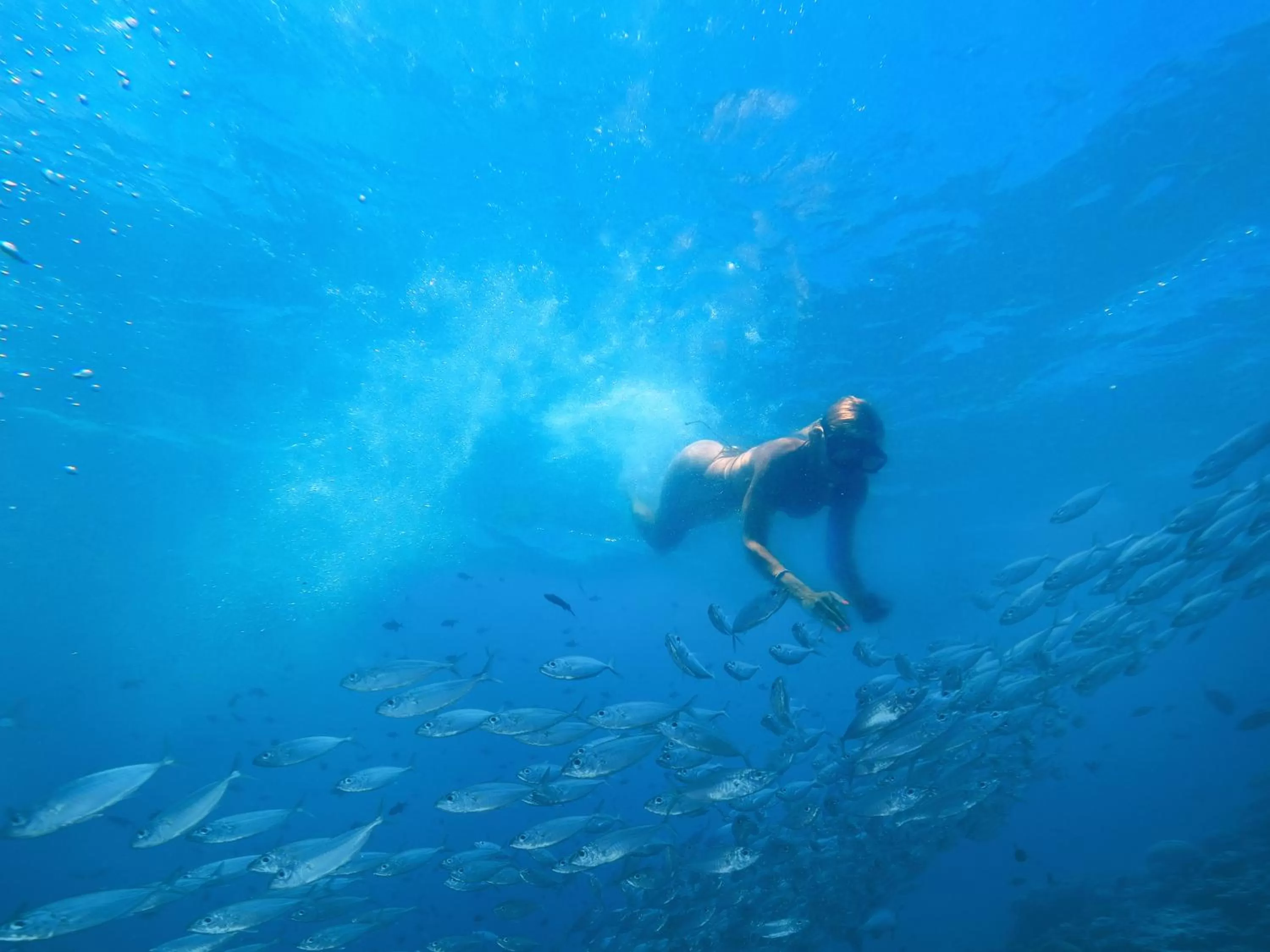 Snorkeling in Enigmatic Hotel Experience